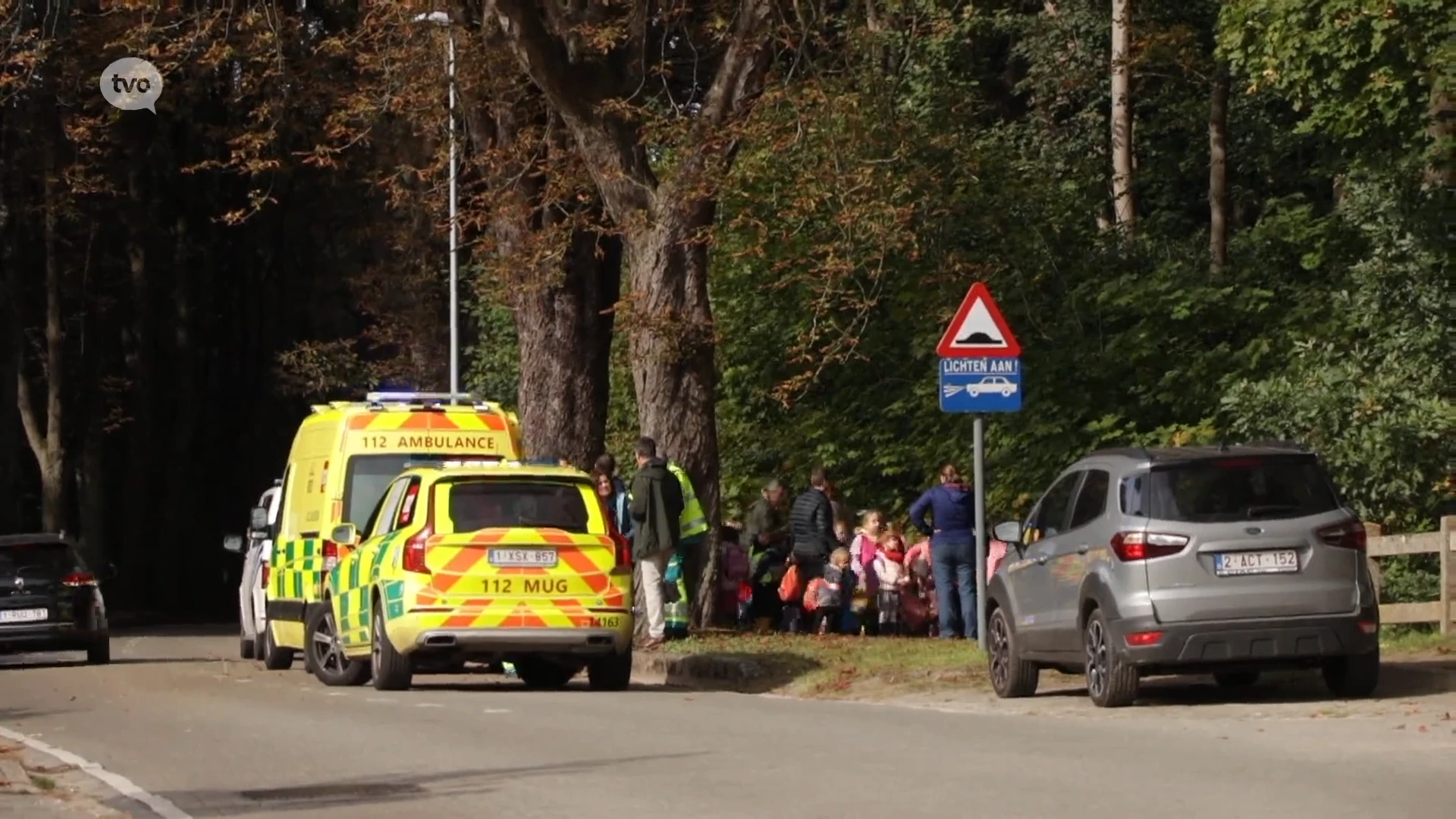 Bijtgrage insecten in Lokerse Bospark: drie kleuters en juf naar ziekenhuis