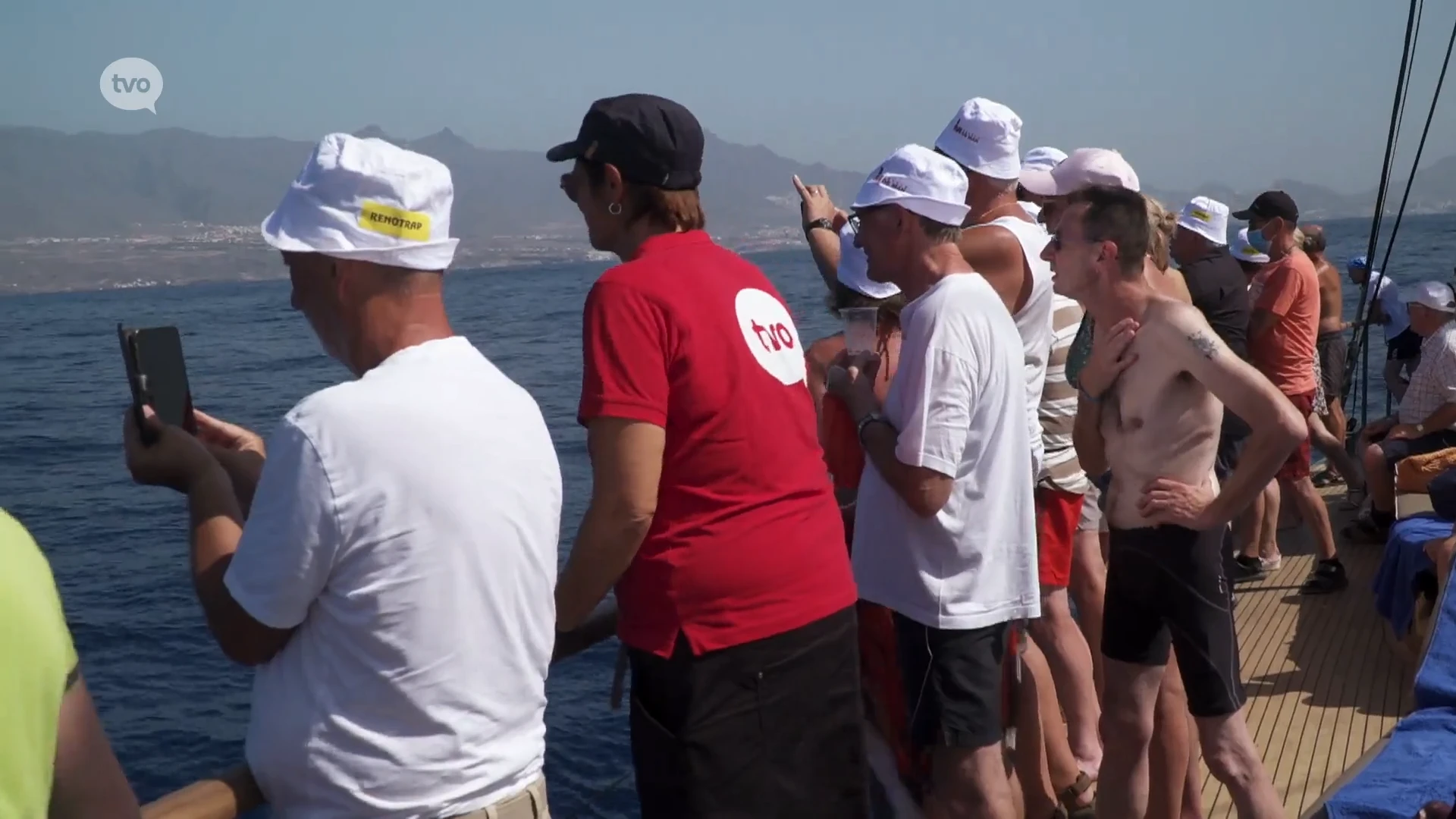 Tenerife 2021 - Verslag dolfijn- en walvisspotten op de catamaran