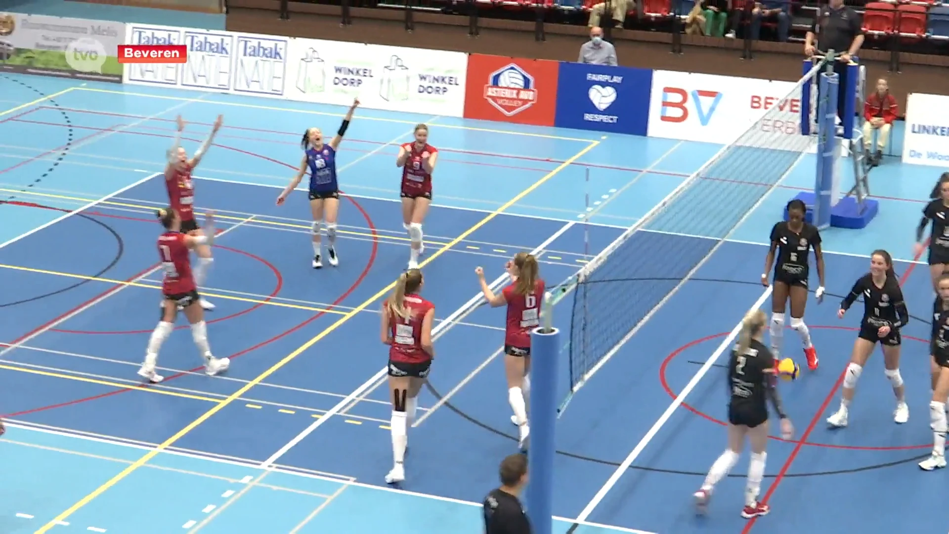 Volleytopper Asterix AVO tegen VDK Gent uitgesteld door corona