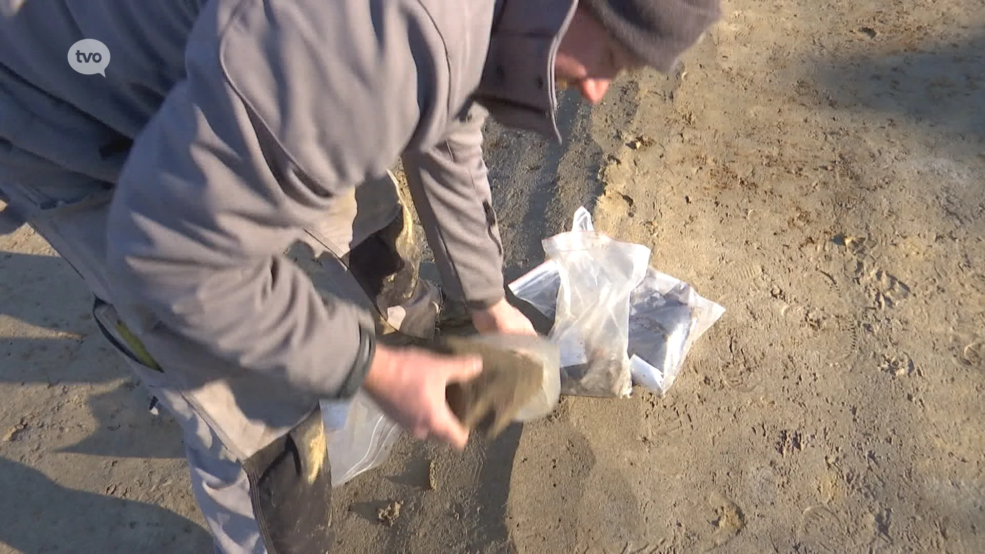 De Romeinen bouwden in Haasdonk, archeologen vinden de sporen