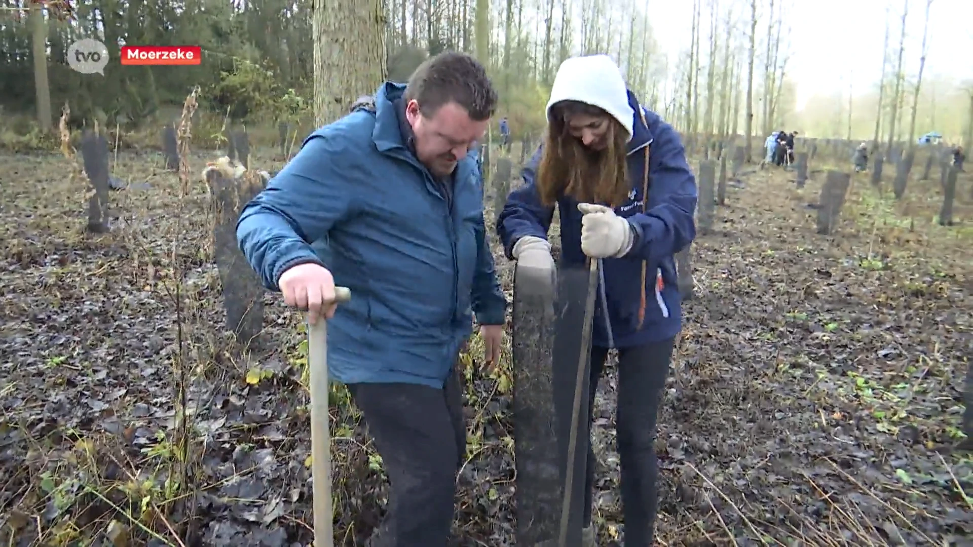 Saartje Vandendriessche helpt personeel Aquaconcept 2000 bomen planten