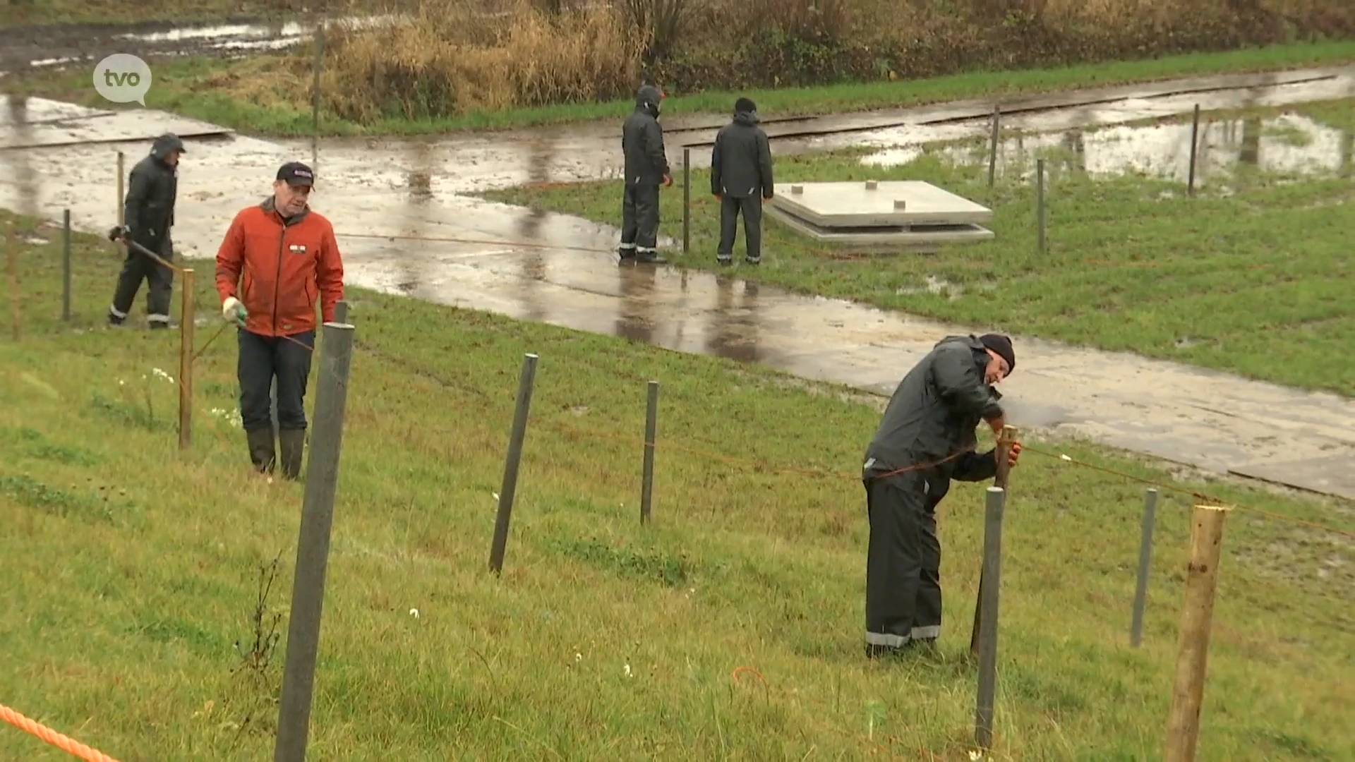 Stad Dendermonde zet licht op groen voor Wereldbekercross mét publiek