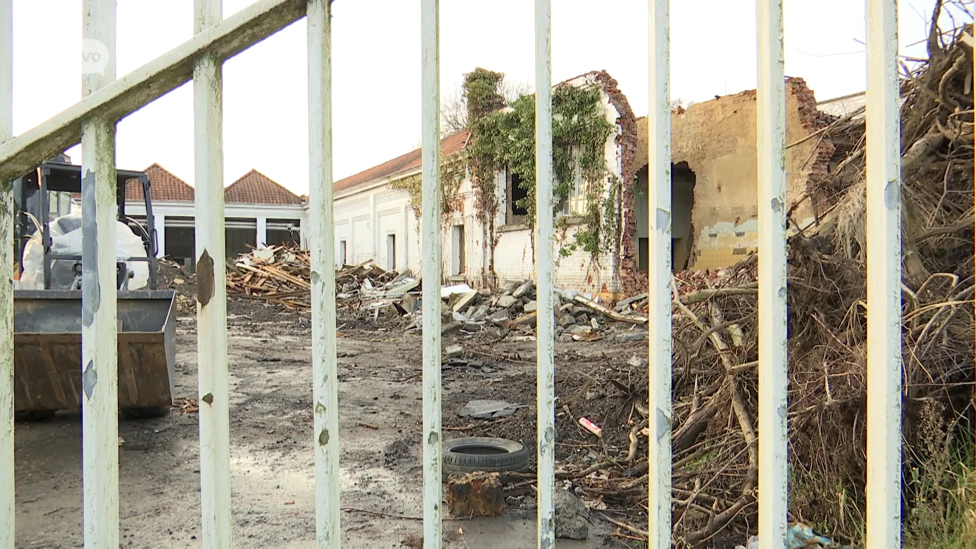 Hoofdafbeelding voor artikel Metamorfose Cantaertsite Zottegem…