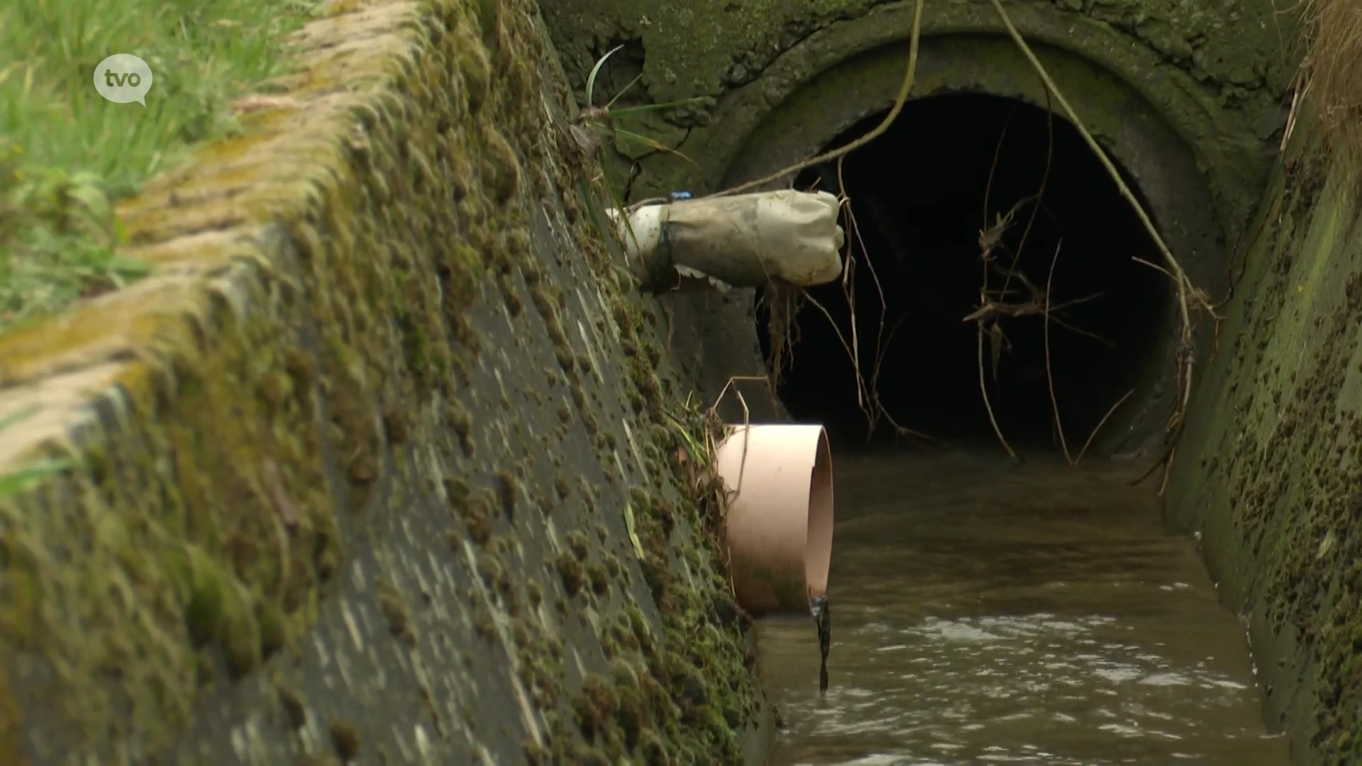 Wateroverlastcoördinator moet oplossingen helpen zoeken in Wetteren