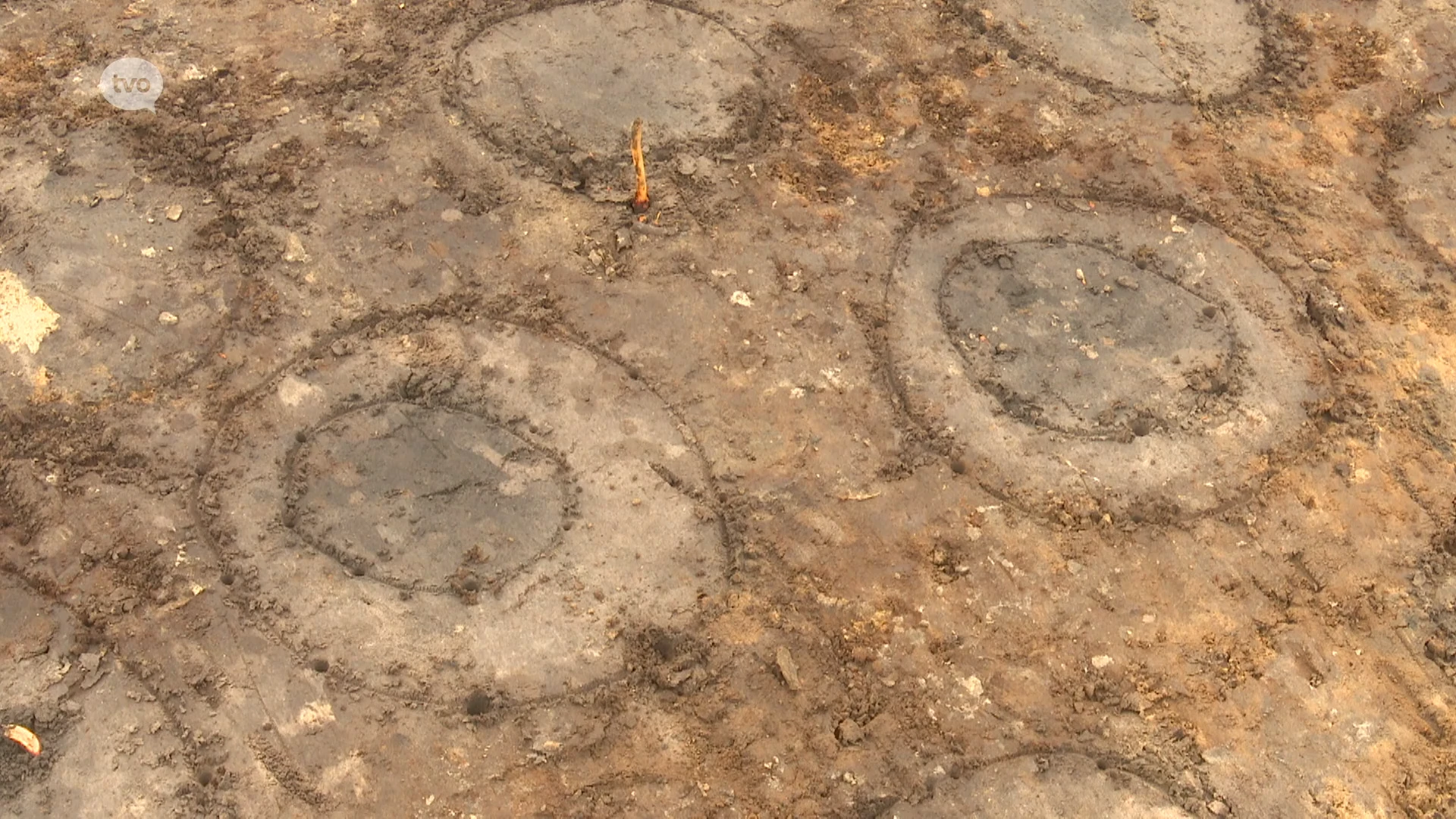 Archeologische opgraving Melsele laat unieke bronstijdgrafheuvel zien