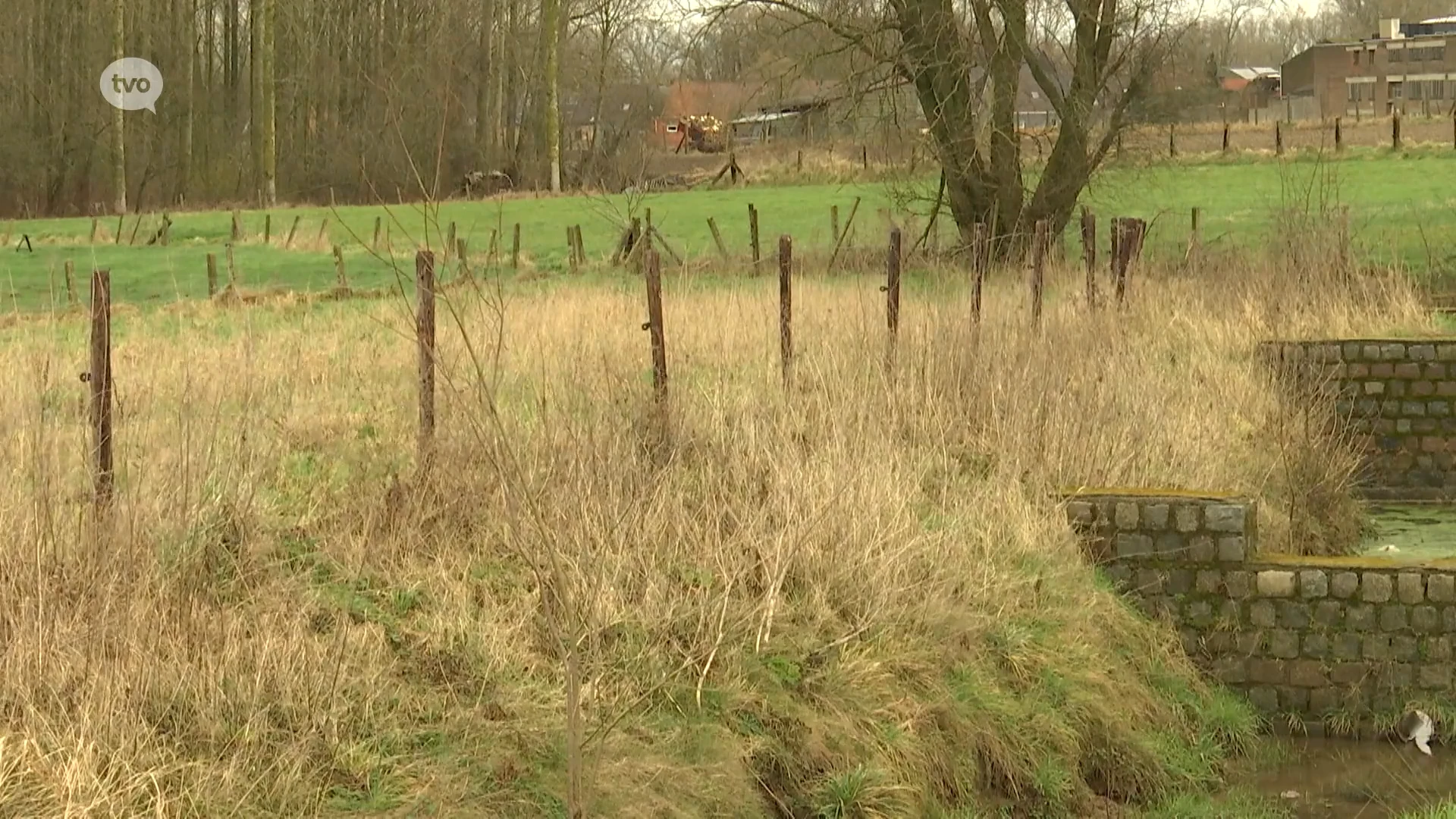 50.000 bomen voor een nieuw stuk bos in Haaltert