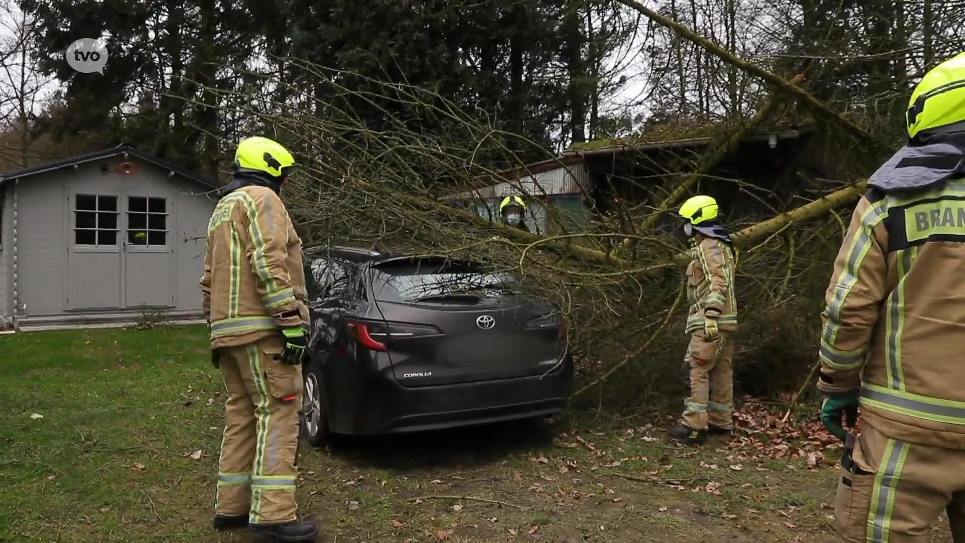 Hevige wind veroorzaakt her en der ellende van afgerukte bomen tot schade aan daken