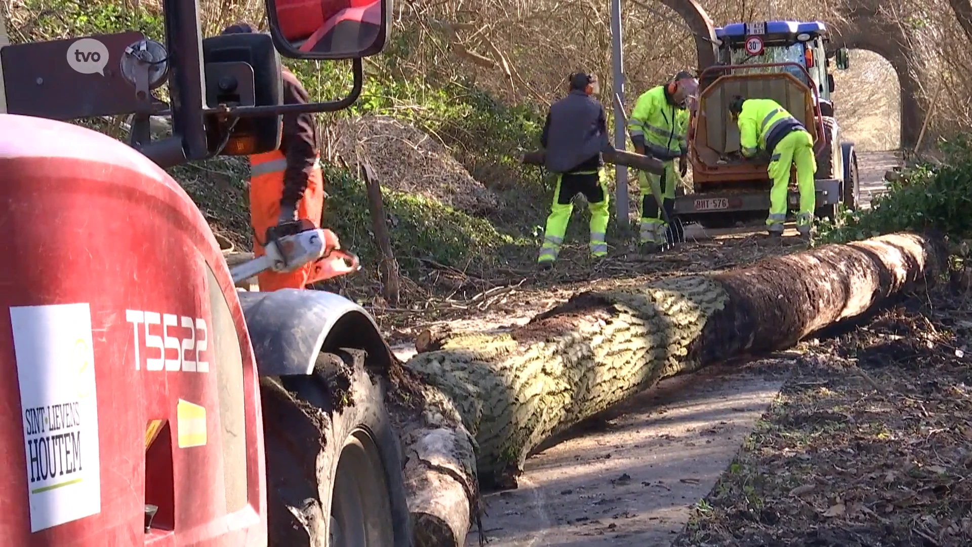 Baan tussen Herzele en Houtem versperd door omgewaaide bomen