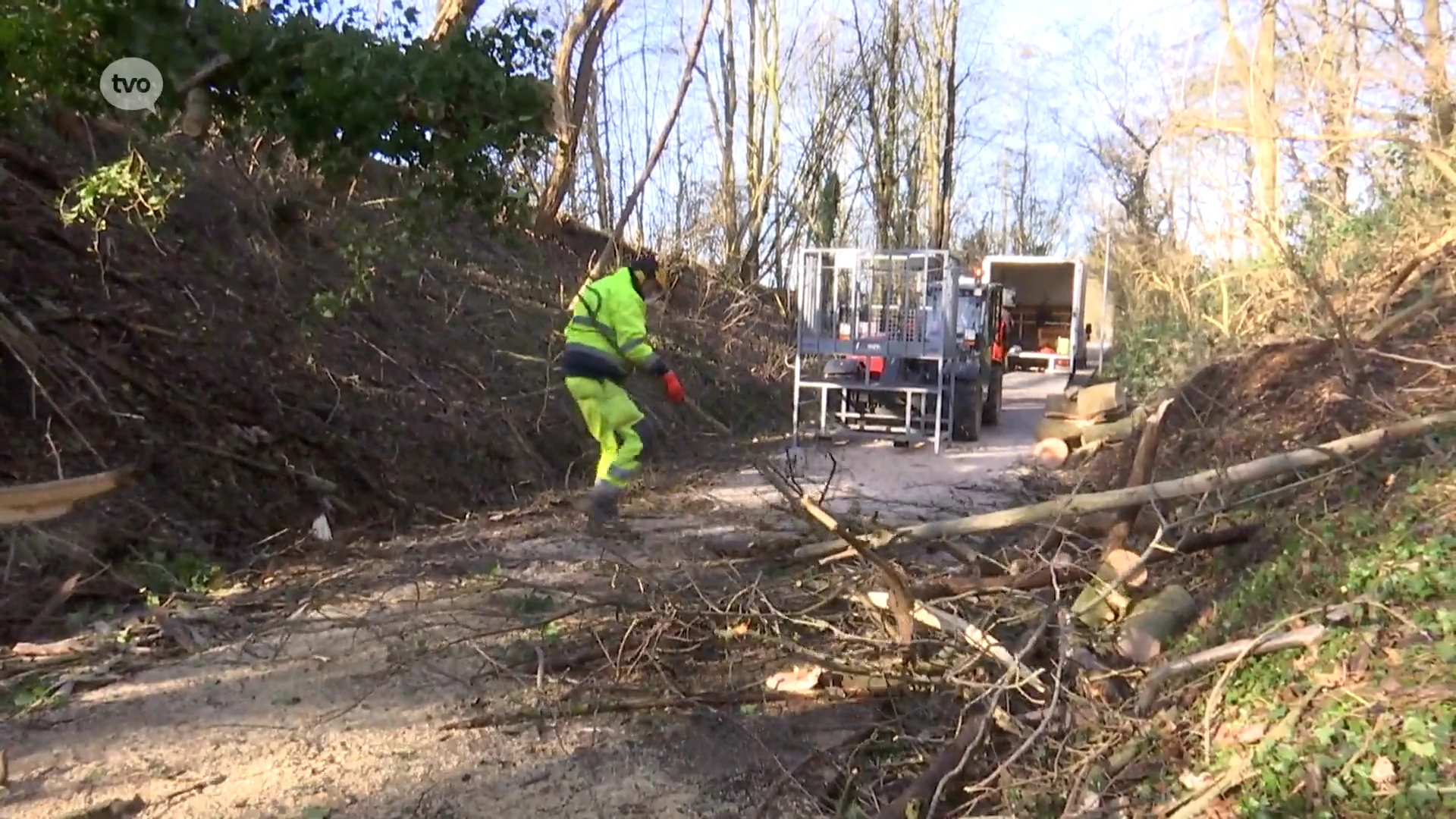 Trambaan, het Eilandbos en het Hemelrijk worden preventief afgesloten voor rukwinden