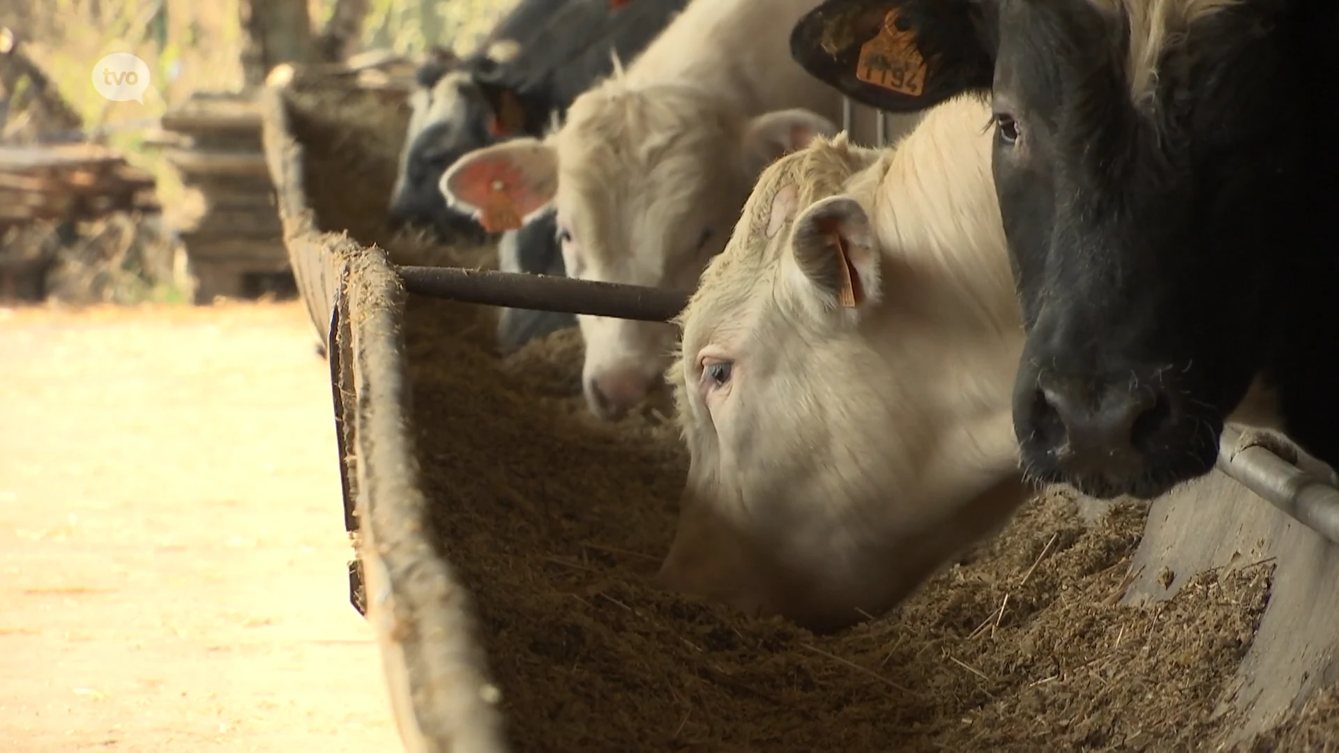 Oorlog nekt boeren, meststoffen zijn schaars en duur: "Ik vrees voor het eerst voor de toekomst van mijn bedrijf"