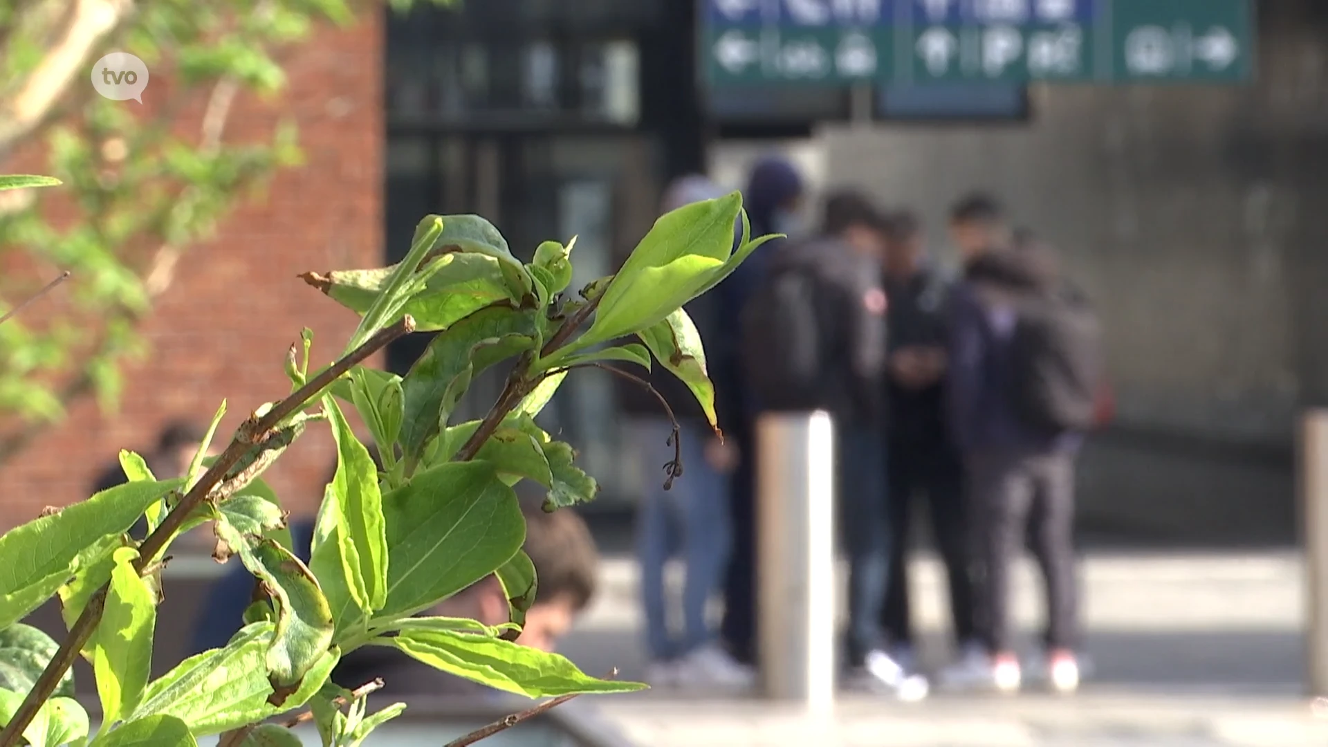 Cel jongerengeweld en opvoedingsondersteuning voor scholen en ouders moeten geweld in Aalst verbannen