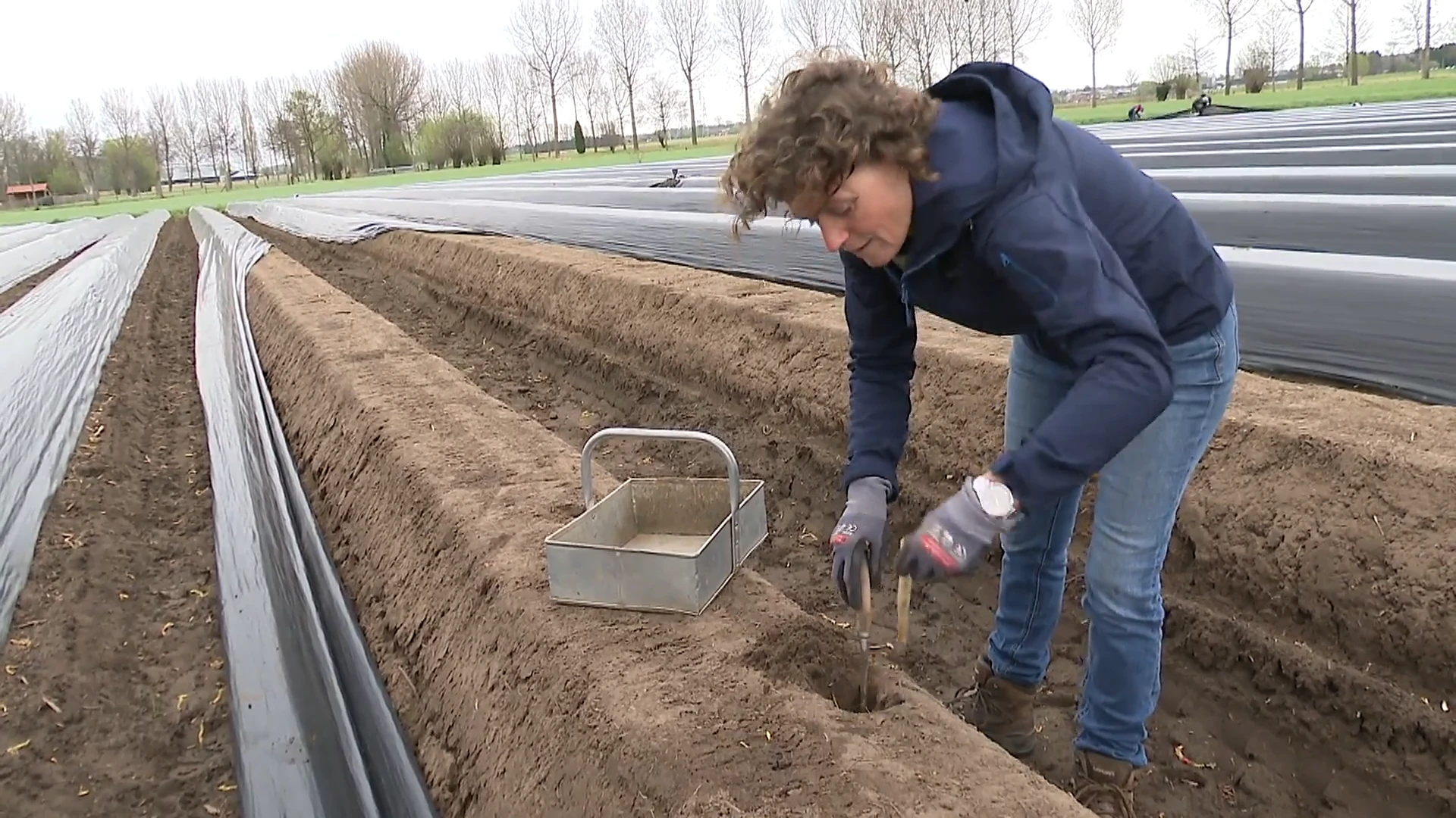 Aprilse grillen spelen aspergeboeren parten