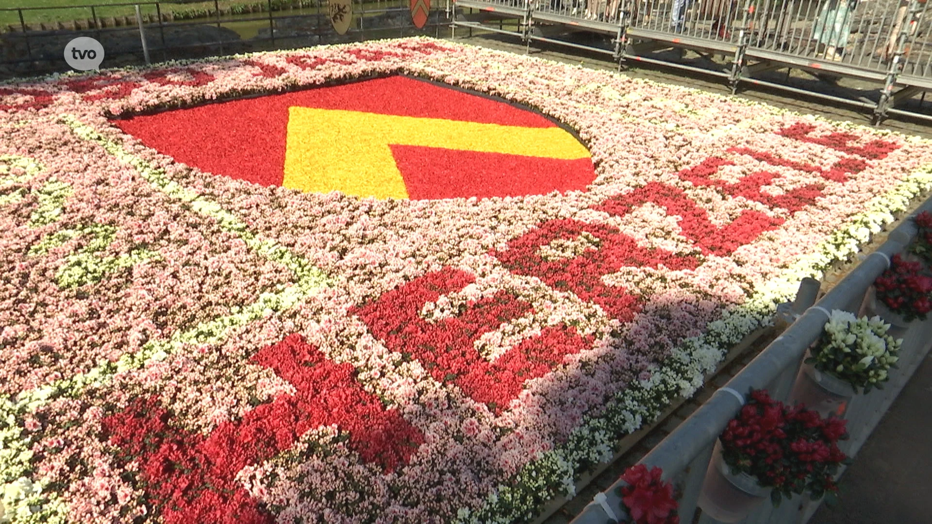 Bloementapijt met 3.000 azalea's ter gelegenheid van 1.050 jaar Herzele