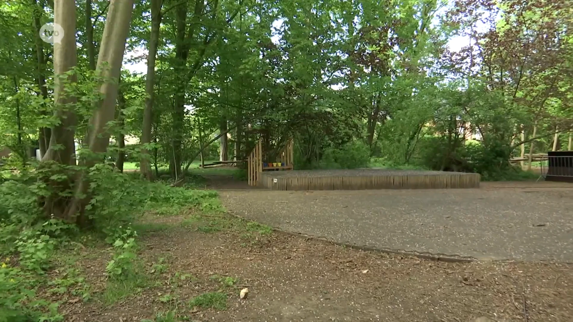 Vandalen vergiftigen 100 jaar oude bomen in speelbos Zottegem