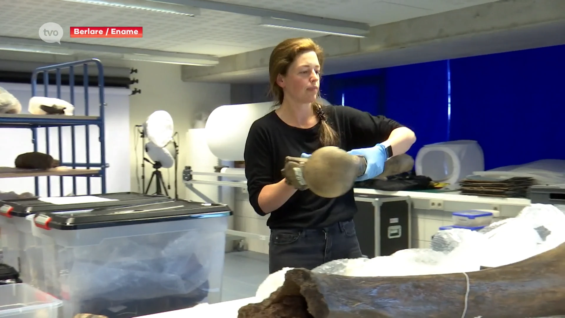 Tienduizenden jaren oude mammoetbeenderen arriveren in Ename