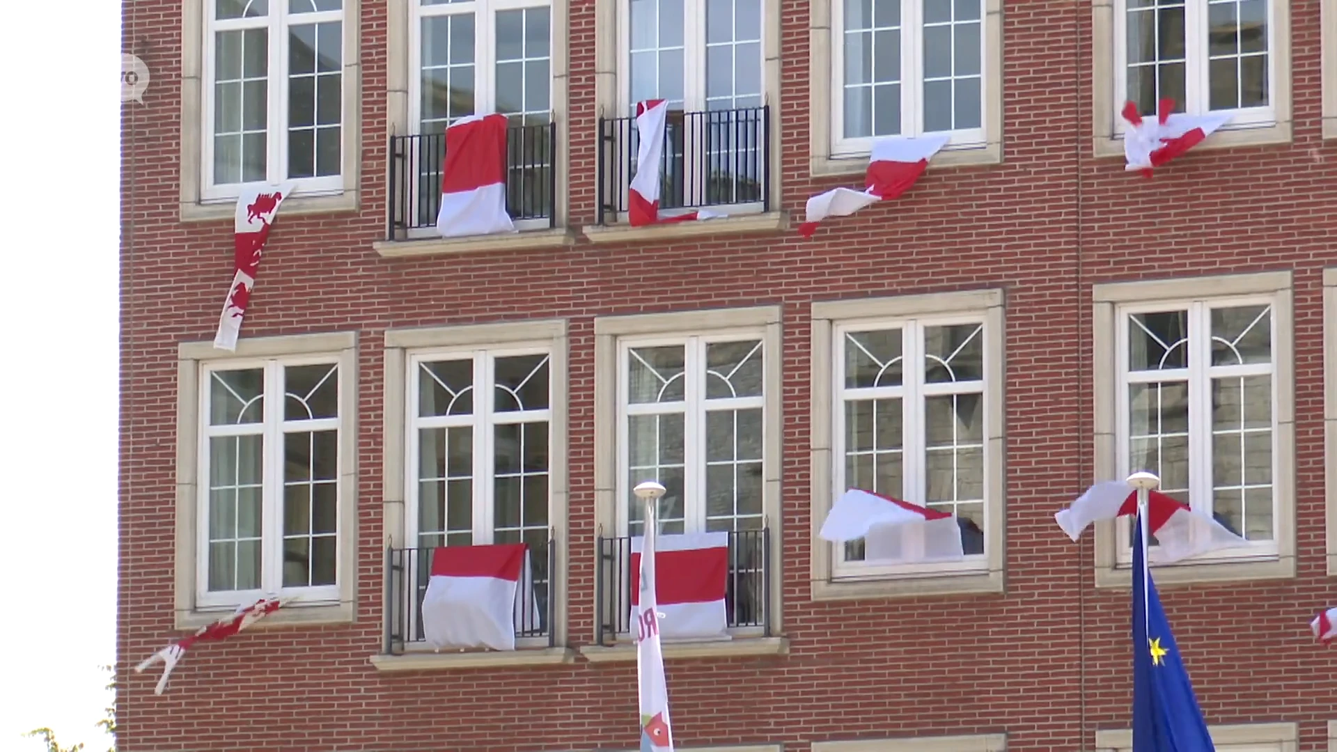 Dendermonde is klaar voor het Ros: vlaggen en paardenhoofden overal