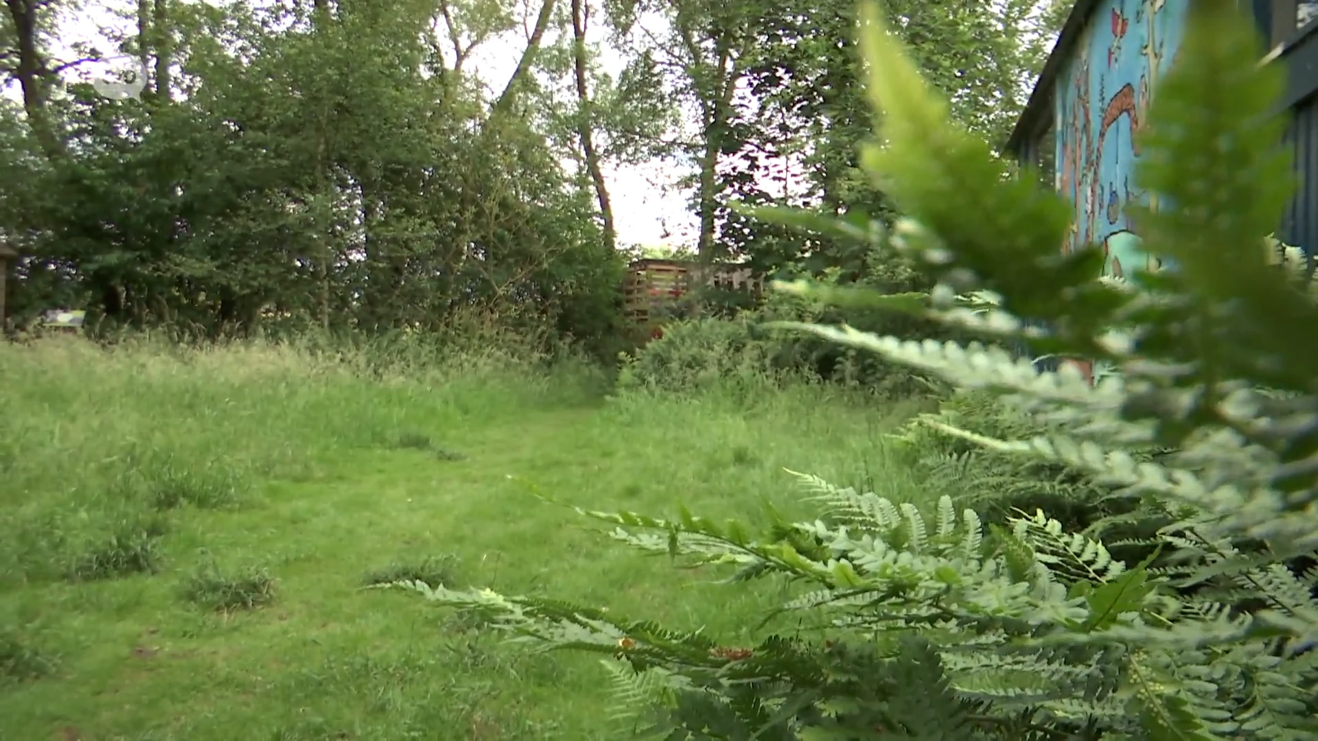 Pleintje in Kruibeke tijdelijk dicht na overlast