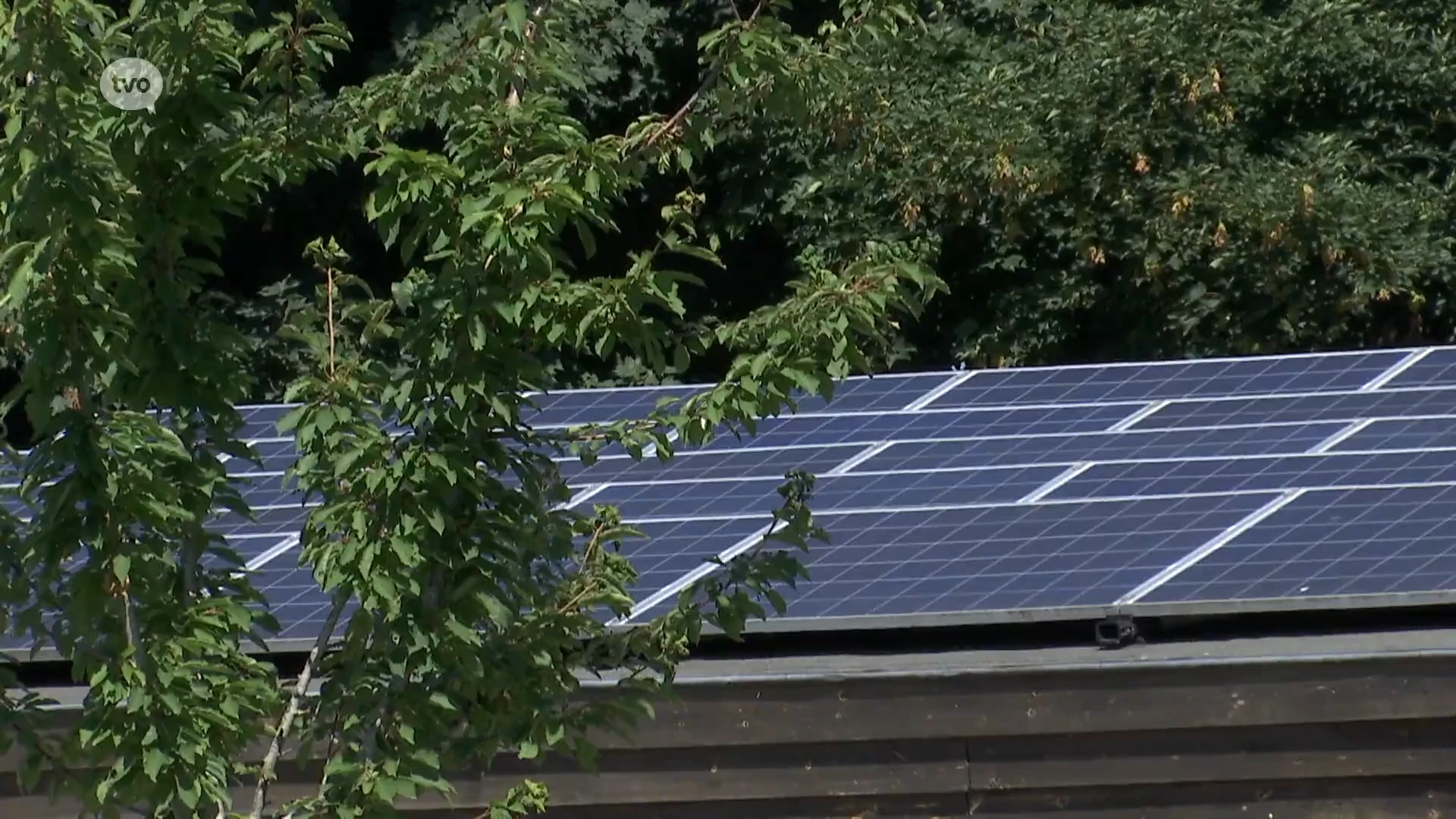 Wichelen pionier in energiedelen tussen gebouwen: "Dit is de toekomst"