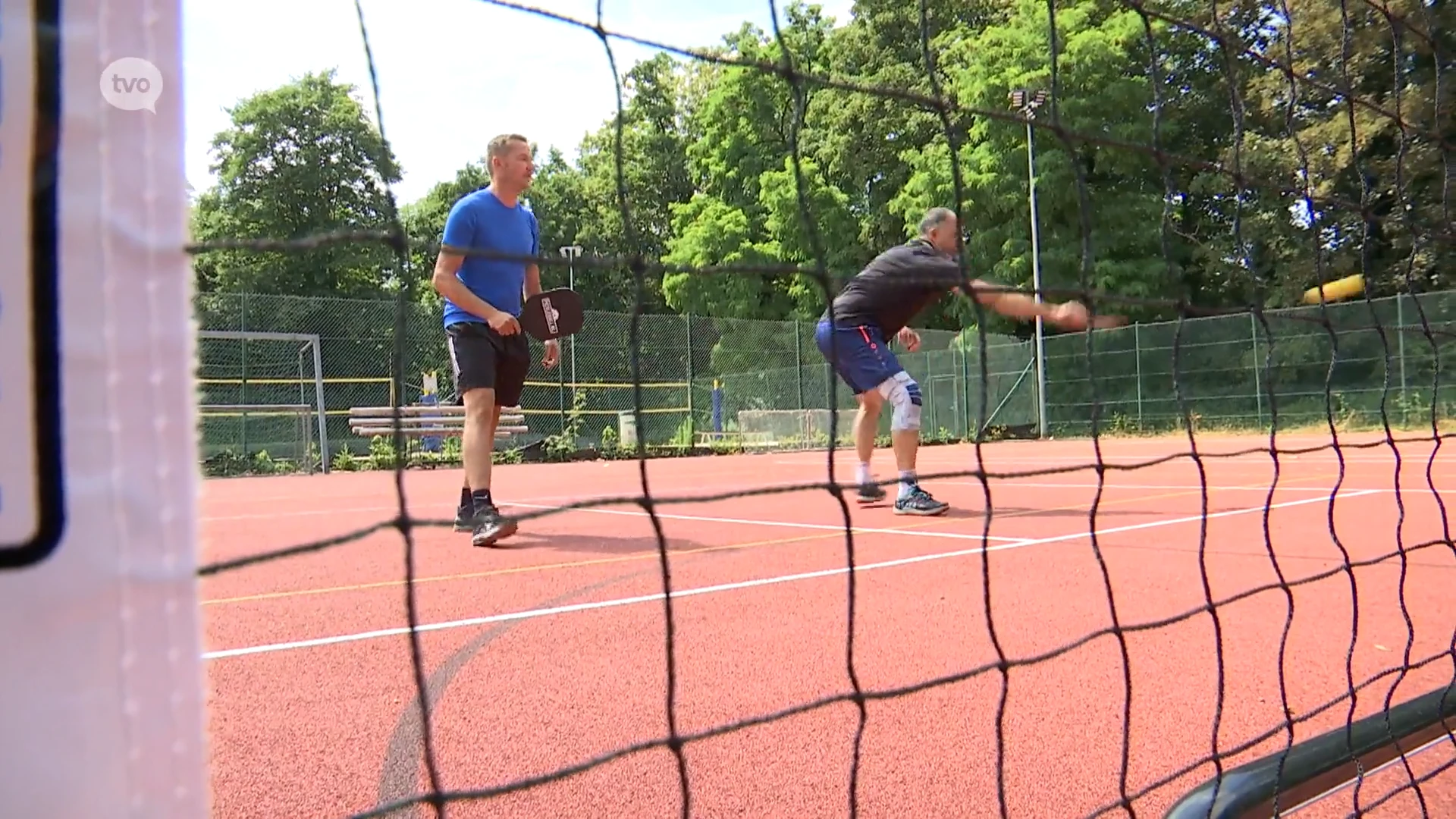 Pickleball komt naar Aalst: kruising tussen tennis, badminton en tafeltennis