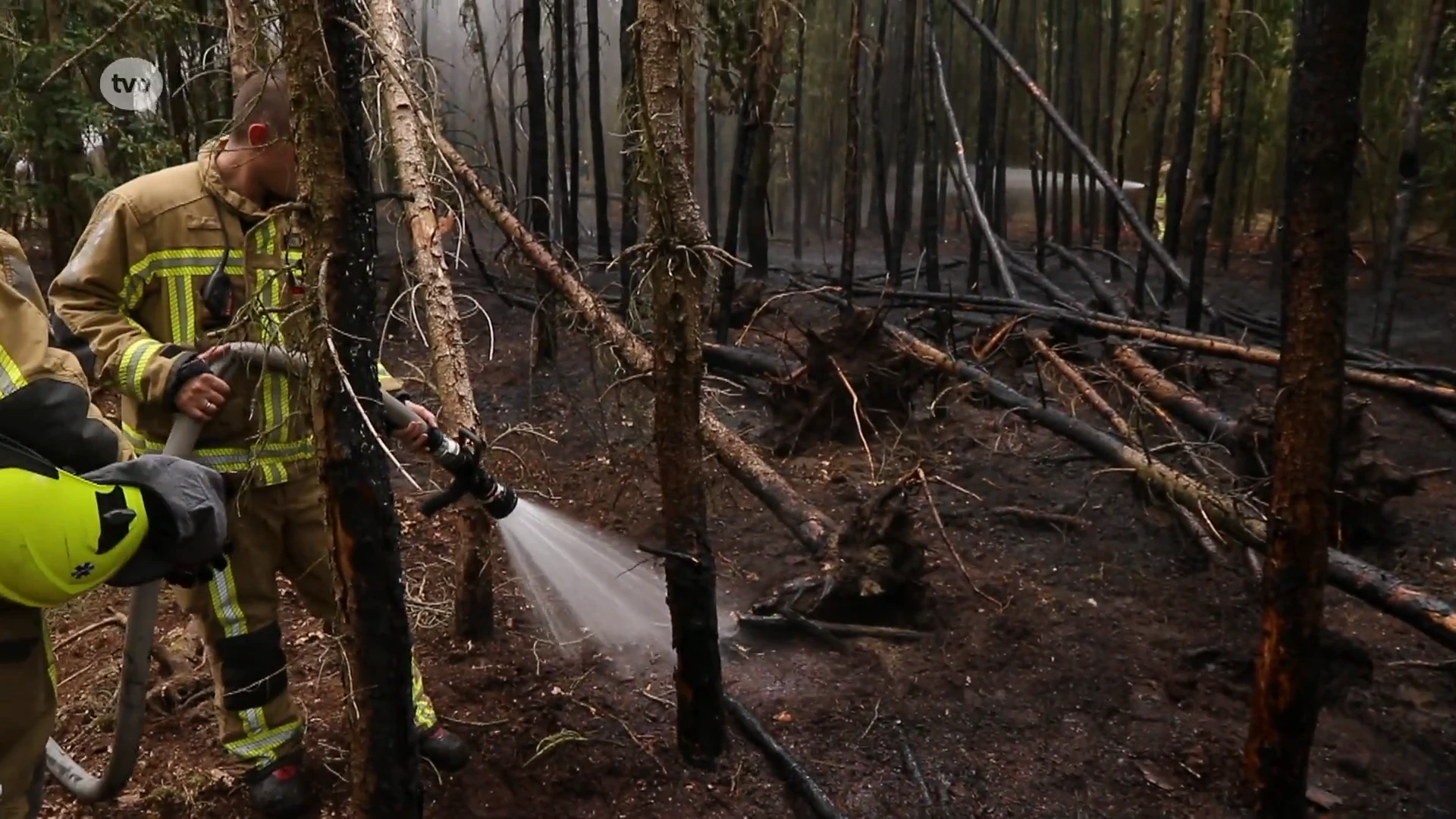 Bosbrand aan Belgisch-Nederlandse grens in De Klinge