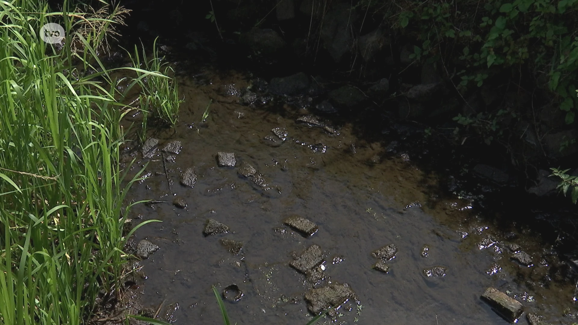 Landbouwer uit Vrasene beboet voor oppompen water uit gracht