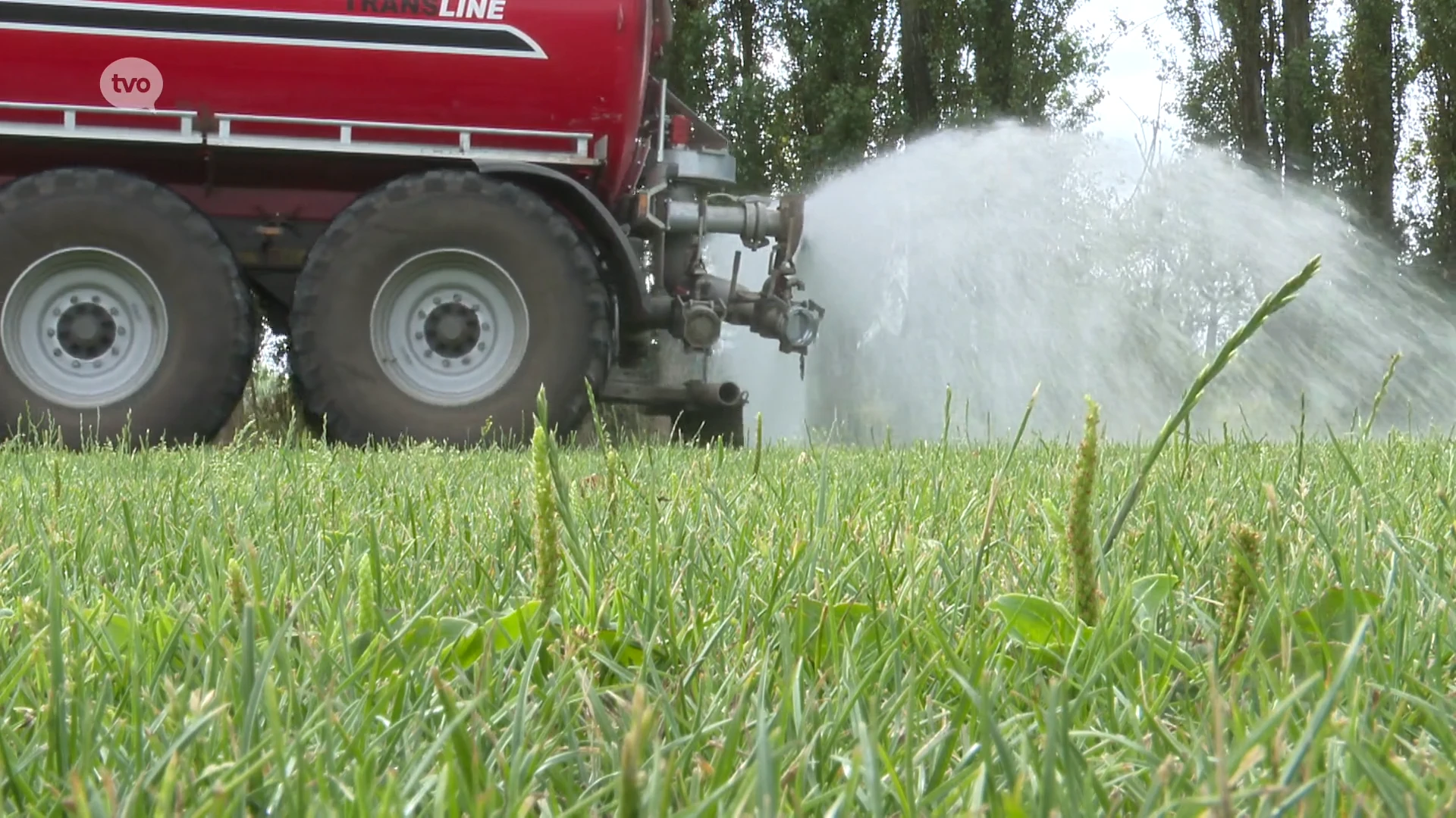 Landbouwbedrijf helpt Beveren aan regenwater voor besproeiing van groen en sportvelden