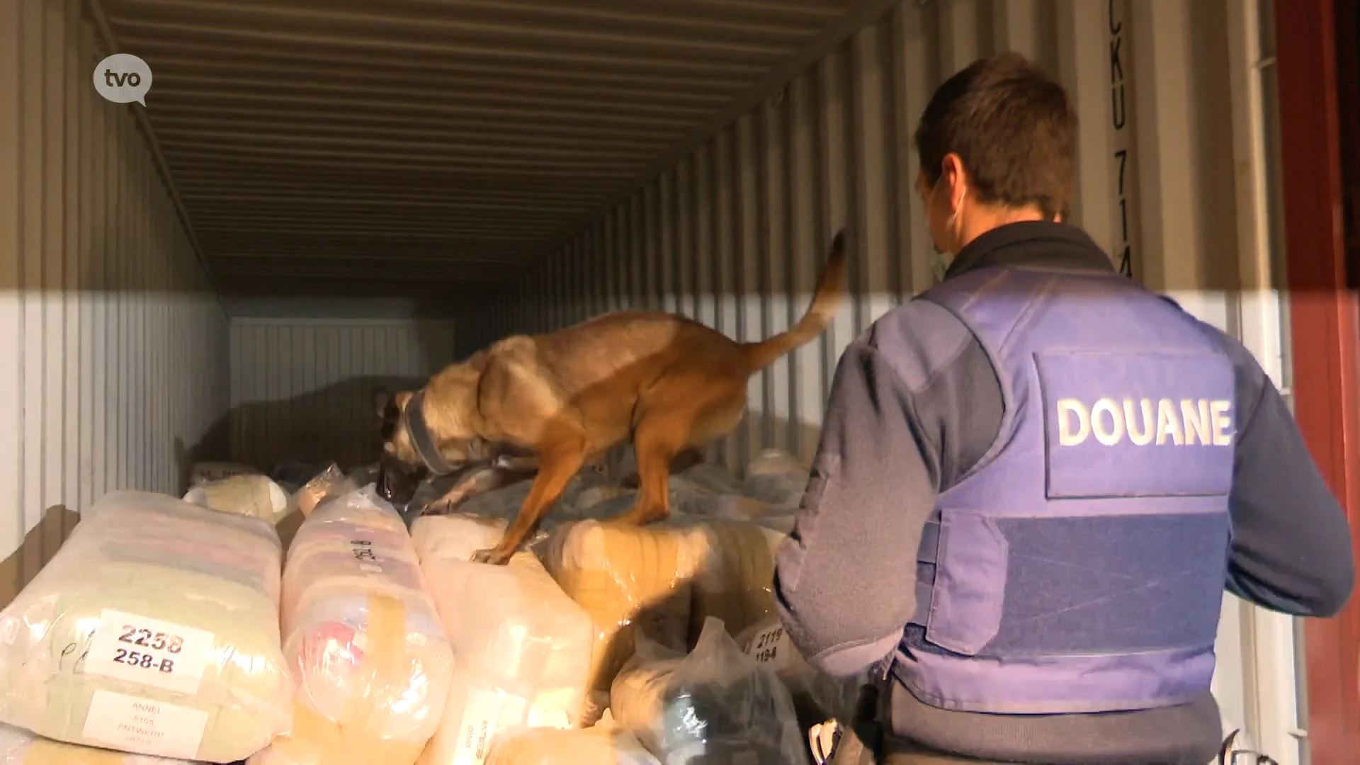 Op half jaar tijd 35,8 ton cocaïne in beslag genomen in Antwerpse haven