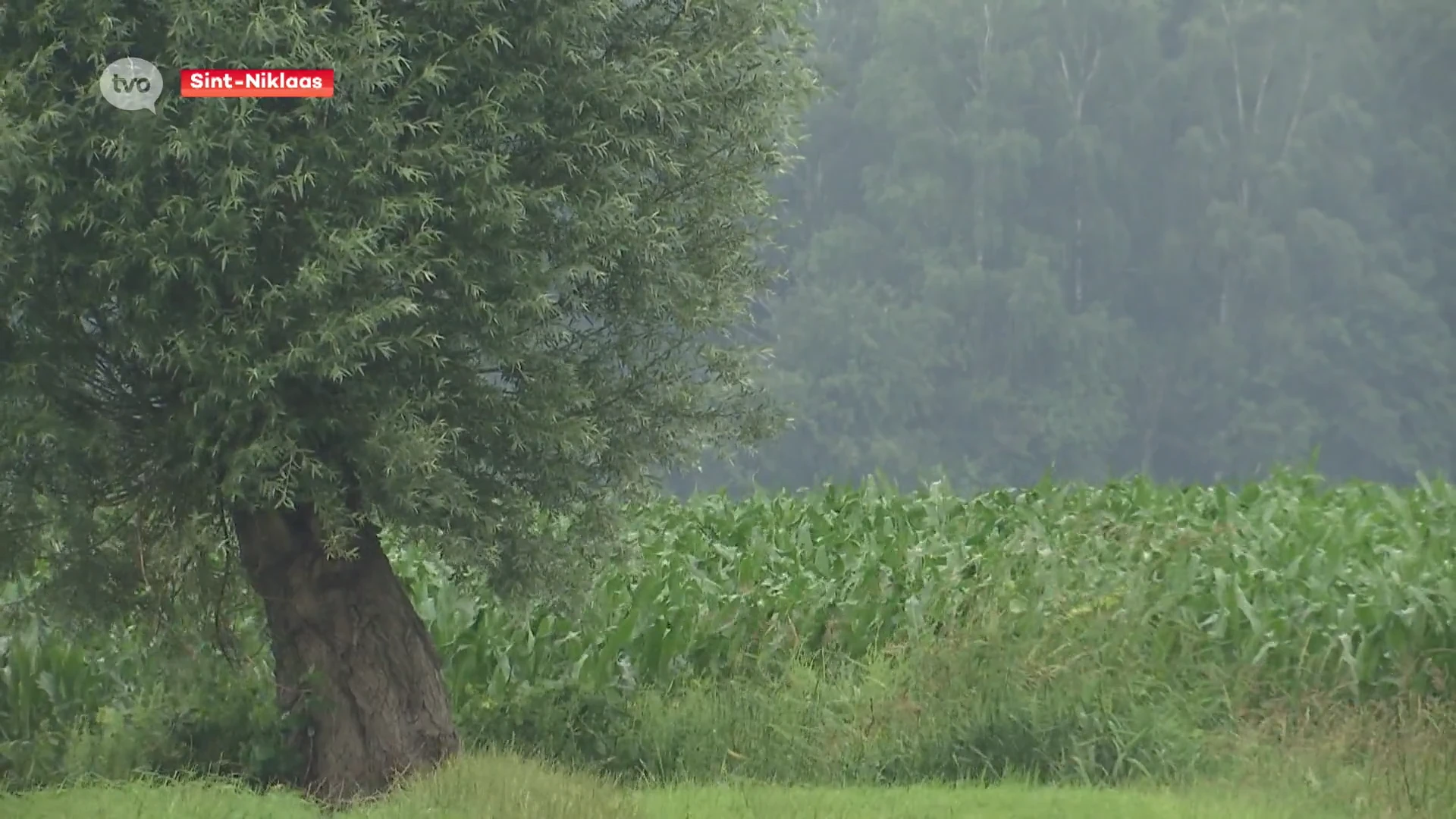 Sint-Niklaas heeft stappenplan naar groene, gezonde en levendige stad