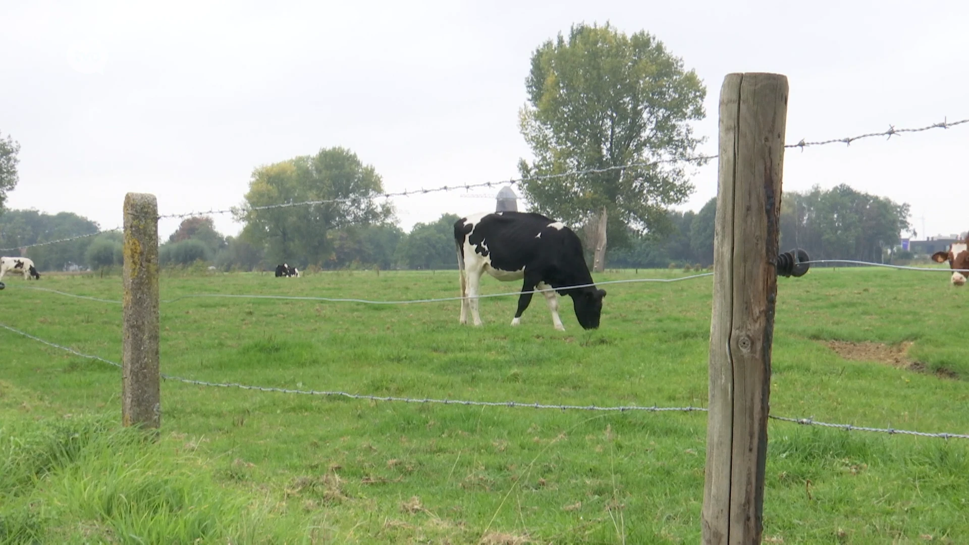 Grondenruil voor uitbreiding van parkgebied Cortewalle in Beveren