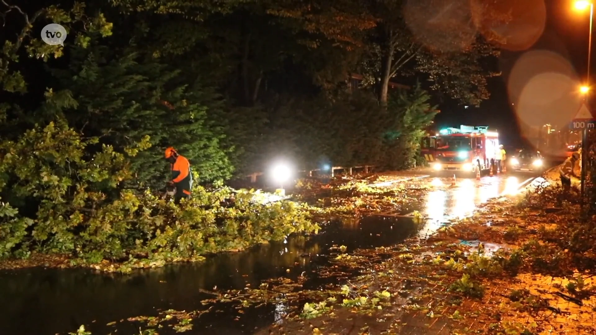 Boom omgewaaid en wateroverlast, kort maar hevig onweer zorgt voor problemen in Aalst