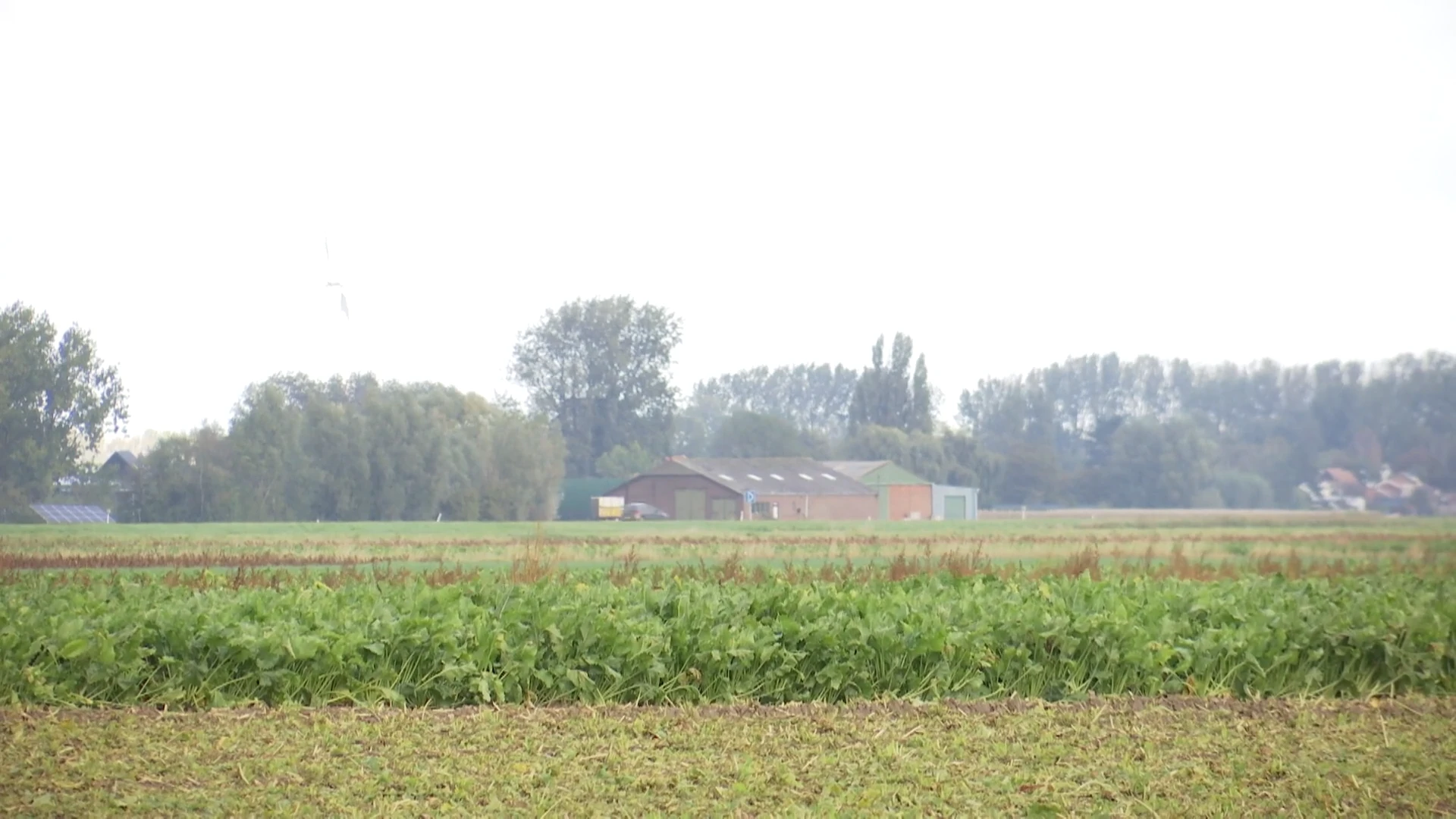 Hof van beroep verklaart verkoop van Gentse OCMW-gronden aan Fernand Huts nietig