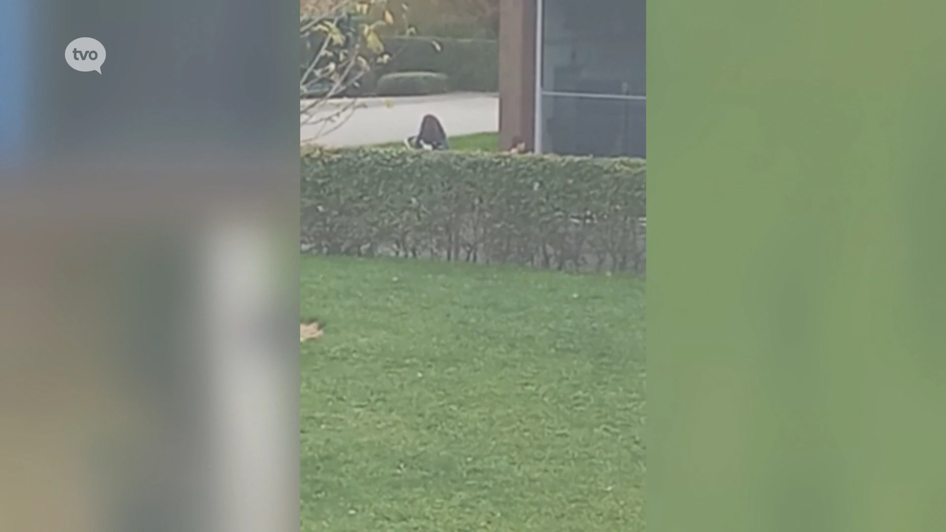 "Kinderbende" teistert Verrebroek, gemeente zet preventiemedewerker in