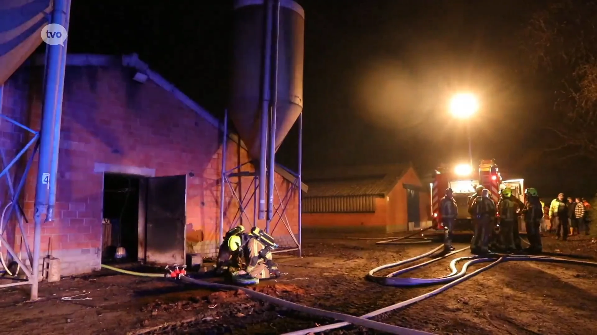 Tientallen varkens komen om bij stalbrand in Prosperpolder