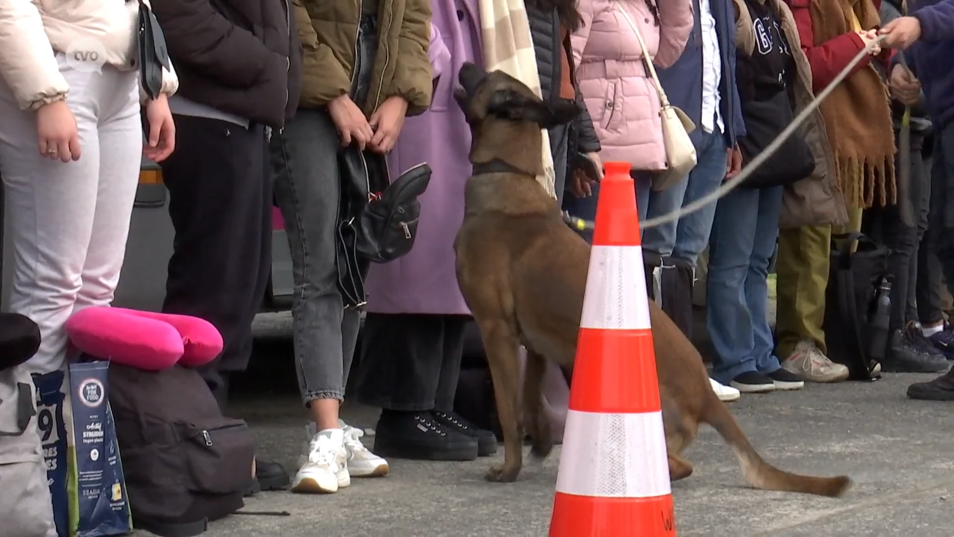 72.000 euro aan boetes uitgeschreven bij controleactie op E40 in Wetteren