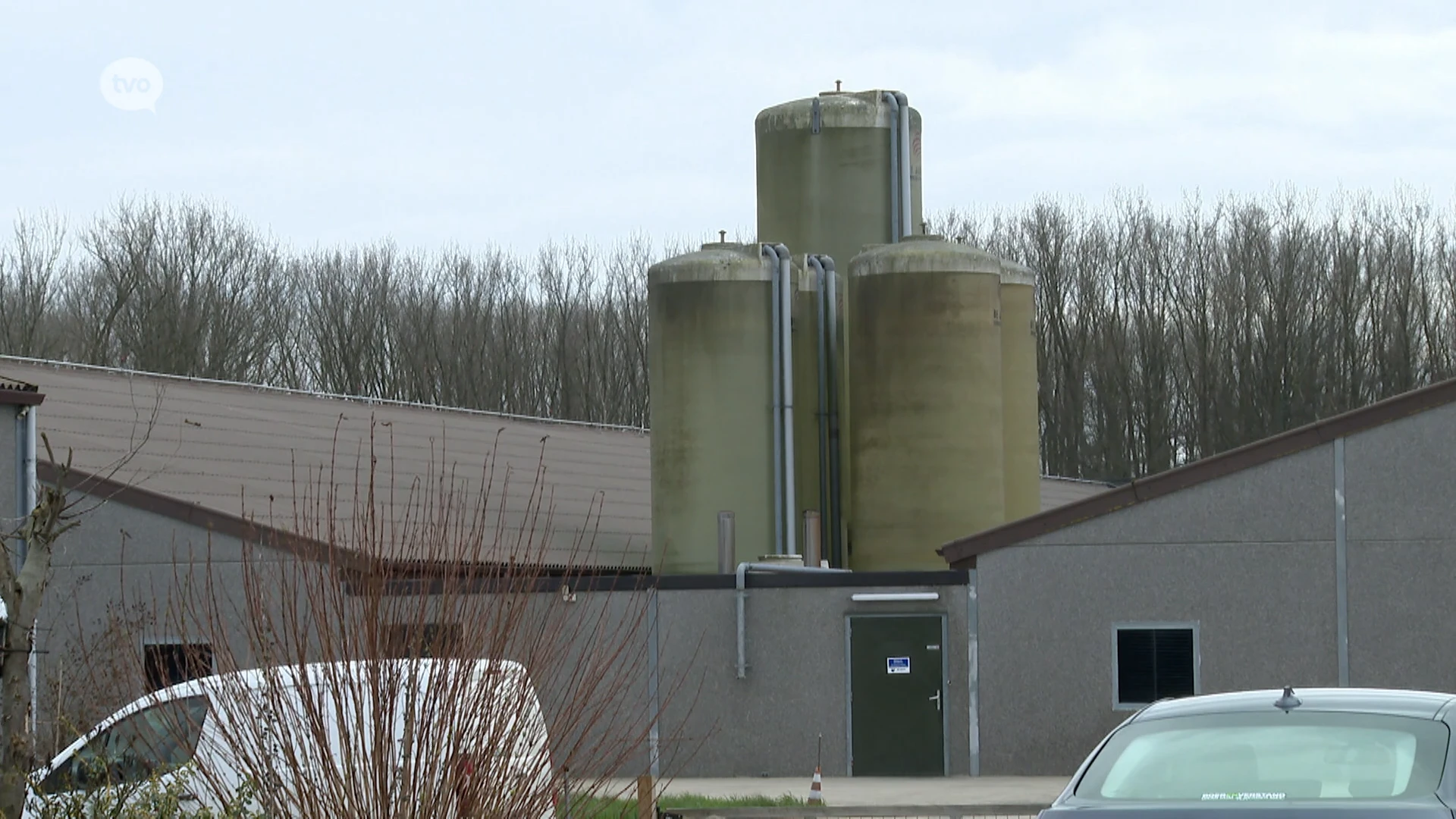 Hoofdafbeelding voor artikel Vogelgriep in Baardegems pluimveebedrijf,…