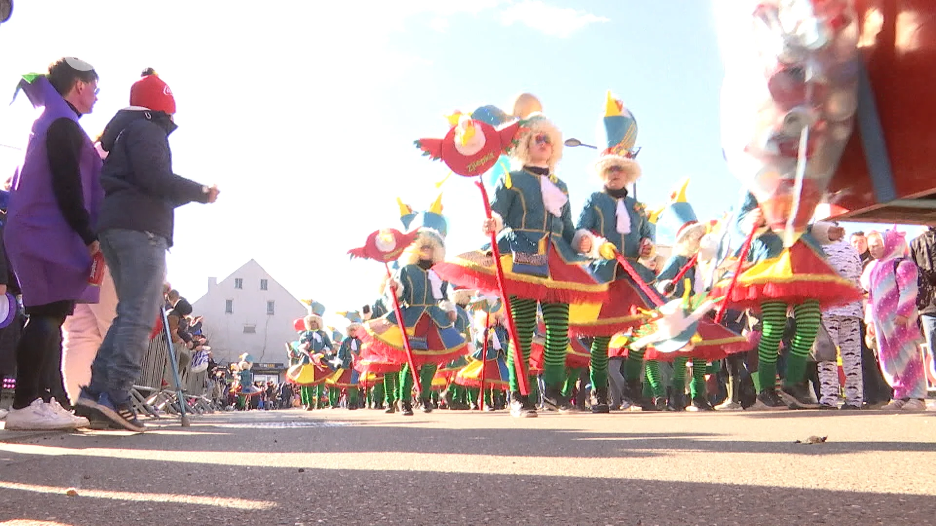 Uitgelaten sfeer tijdens Ninove Carnaval: "We zijn veel gezelliger dan Aalst"