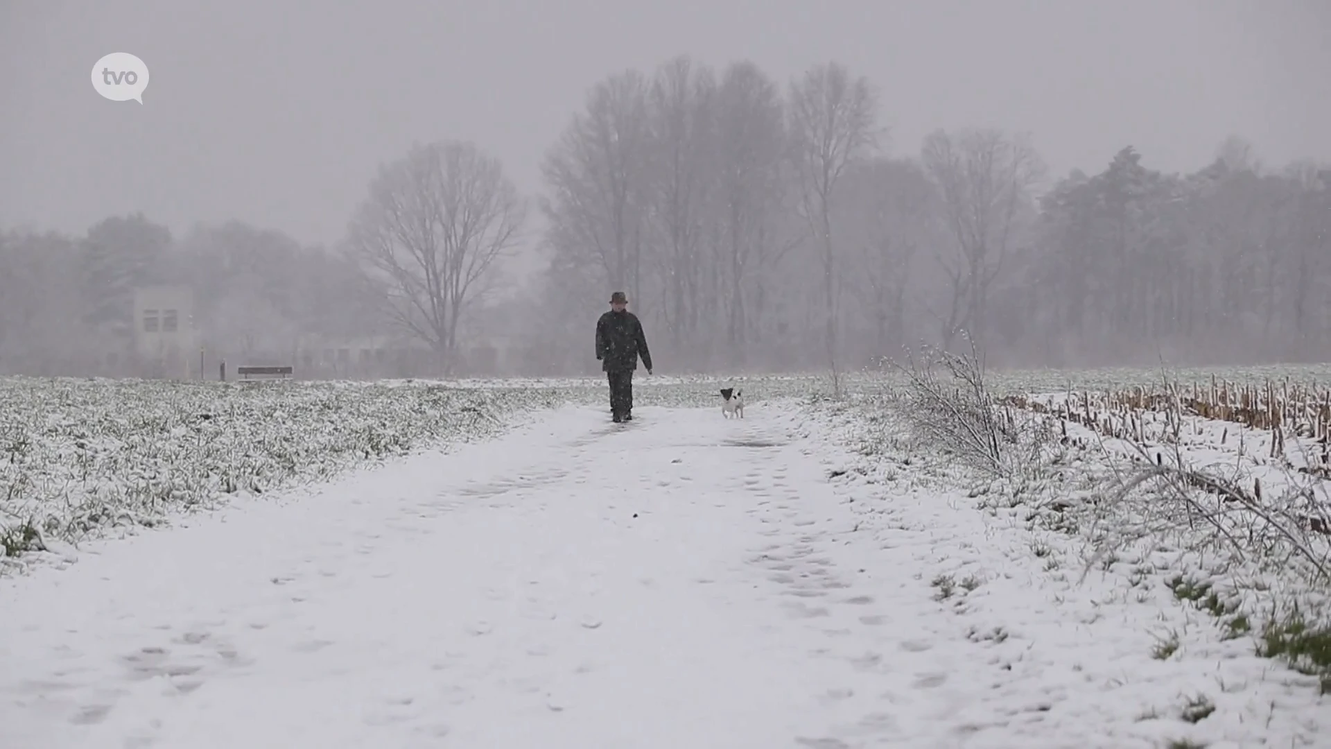 Ochtendsneeuw zorgt voor feeëriek landschap, verkeer ondervindt weinig hinder