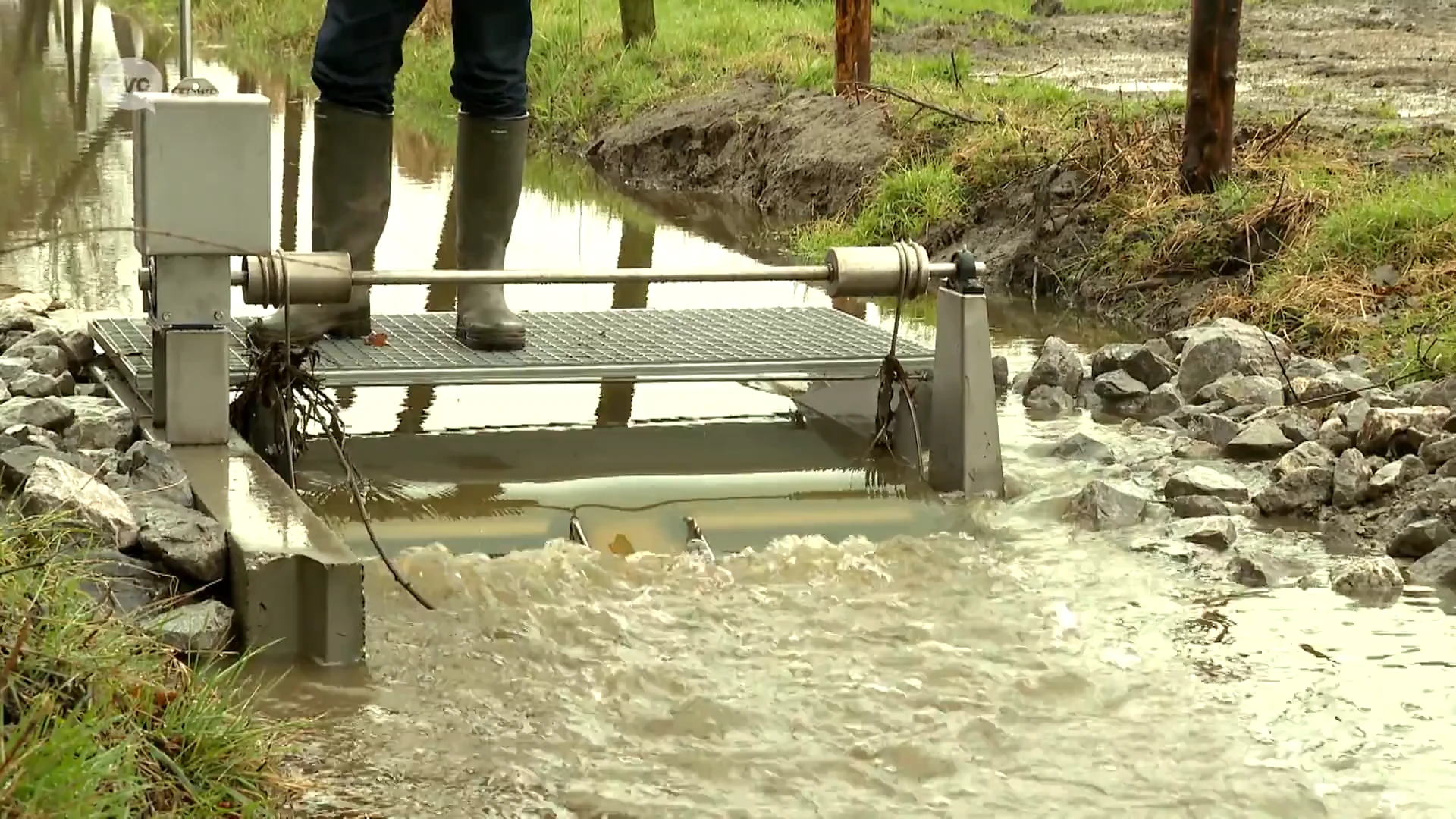 Polder van Belham neemt stuw in Kalken in gebruik die water teruggeeft aan de natuur in periodes van droogte