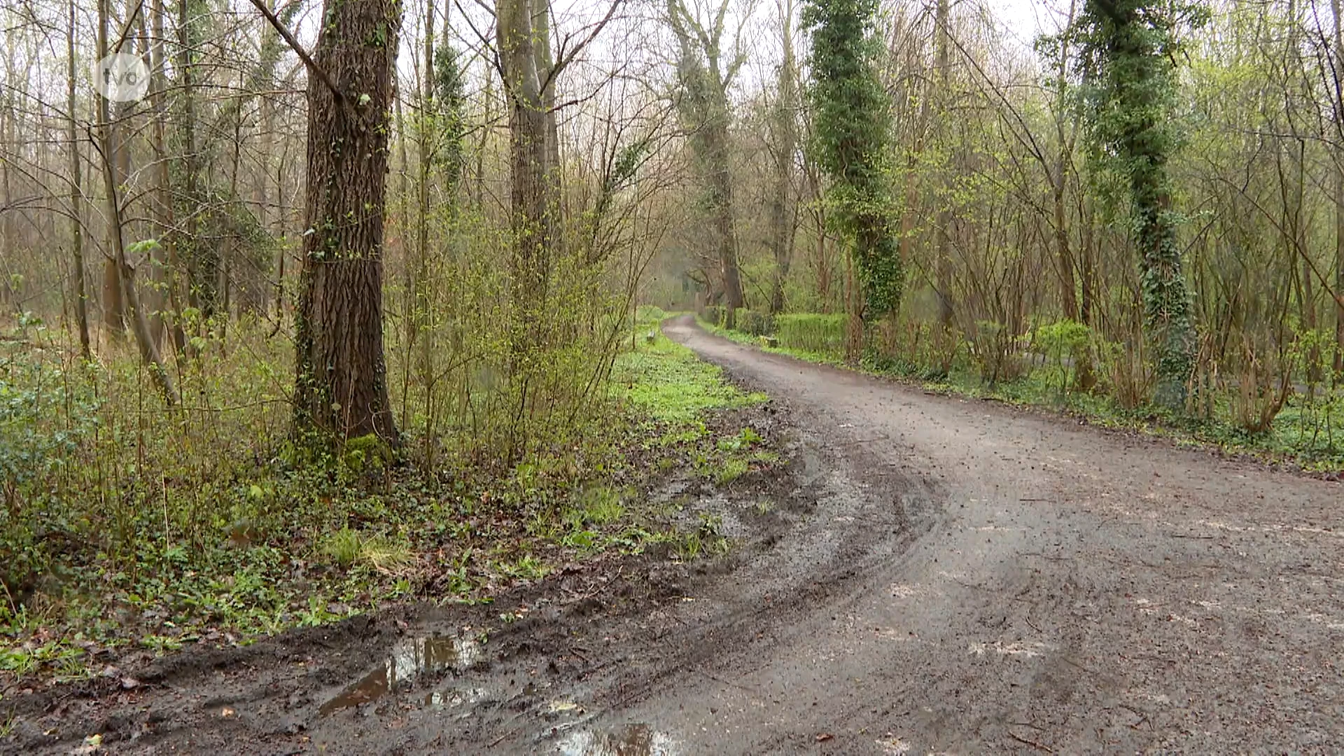 Vier verdachten aangehouden die mannen lokten en overvielen in Aalsters park