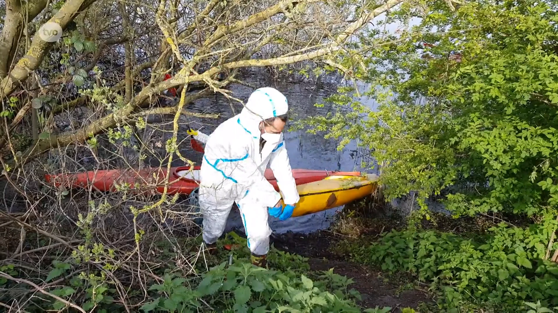 Ook zeldzame otter mogelijk bedreigd door niet te stoppen vogelgriep in Molsbroek