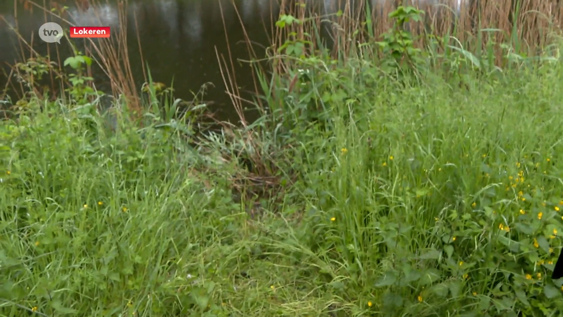 Politie Lokeren op zoek naar jongeren die bejaarde fietser in Durme lieten belanden