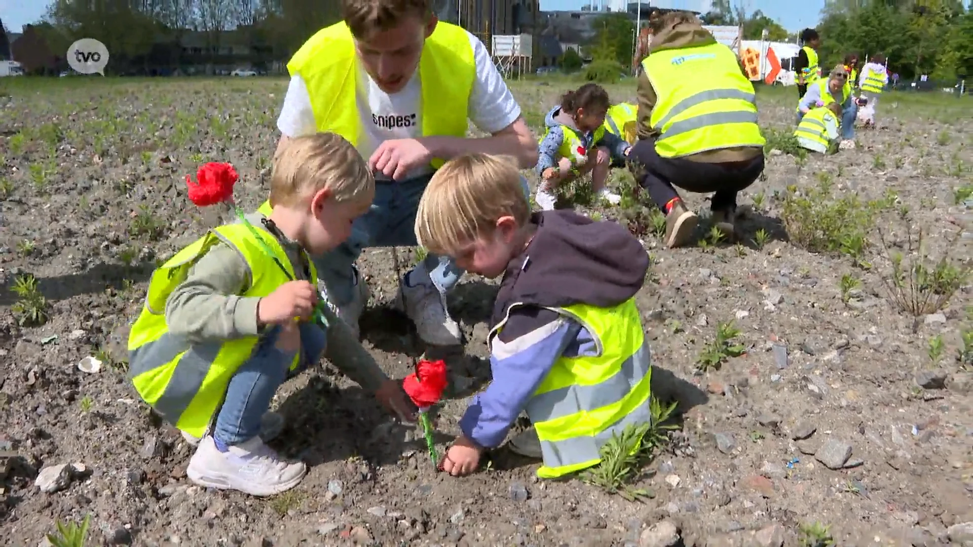 Aalsterse kinderen zaaien bloemen op Flora-site, in afwachting van werken in het najaar