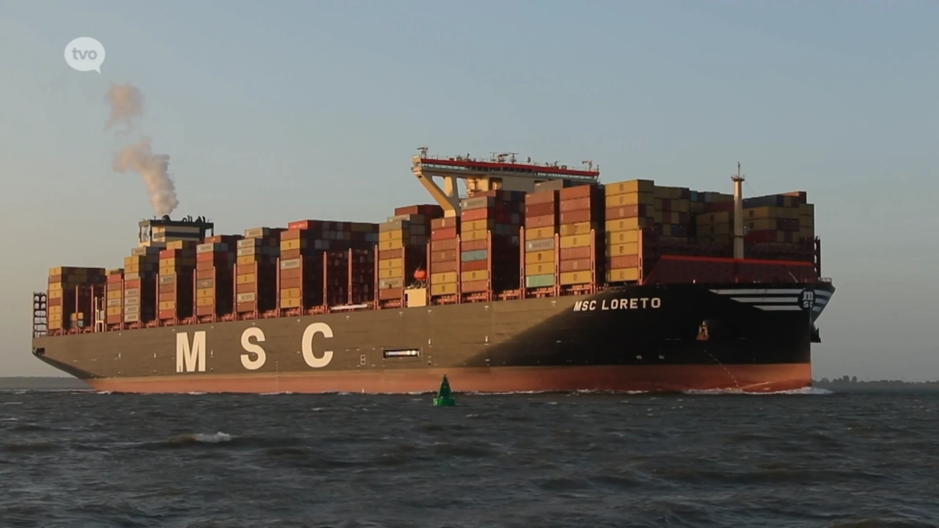 De MSC Loreto, het grootste containerschip ter wereld meert aan in Deurganckdok: "Groter mogen ze niet worden"