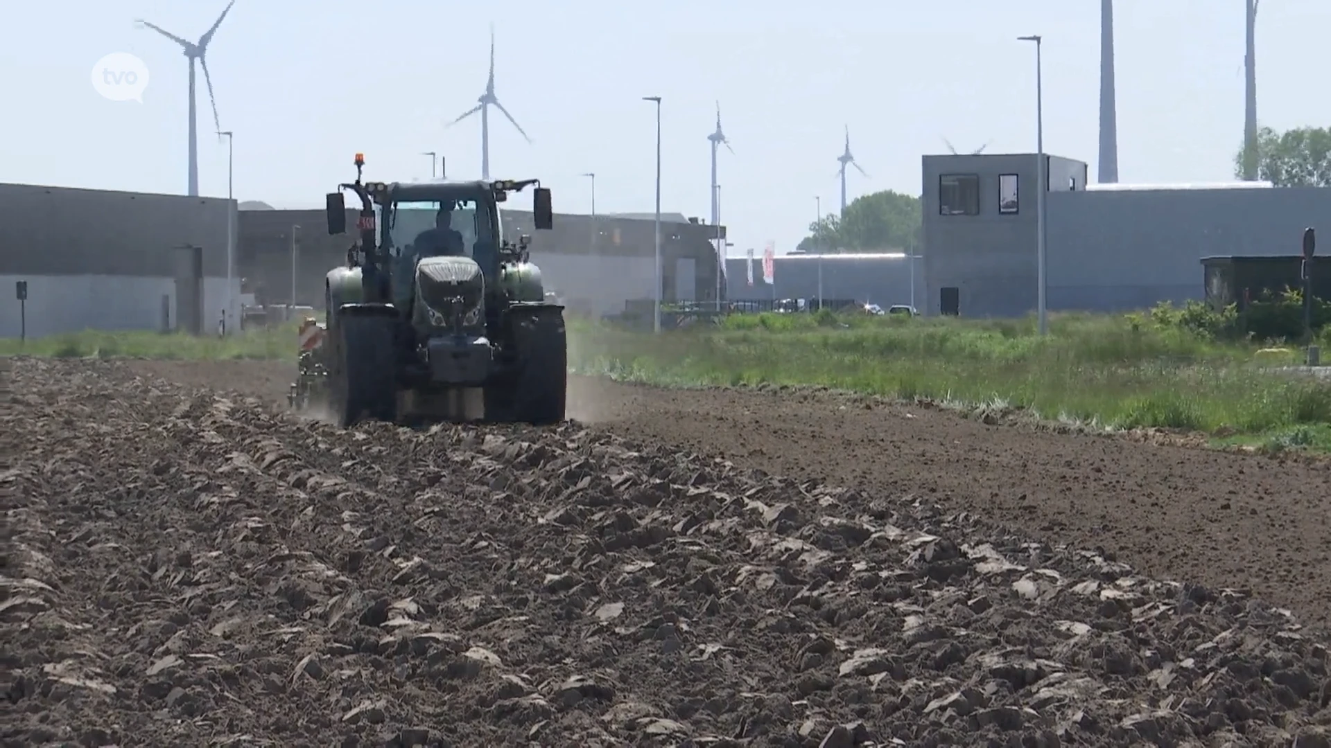 Twee hectares met industriële hennep gaan de CO2-reductie versnellen in Lokeren