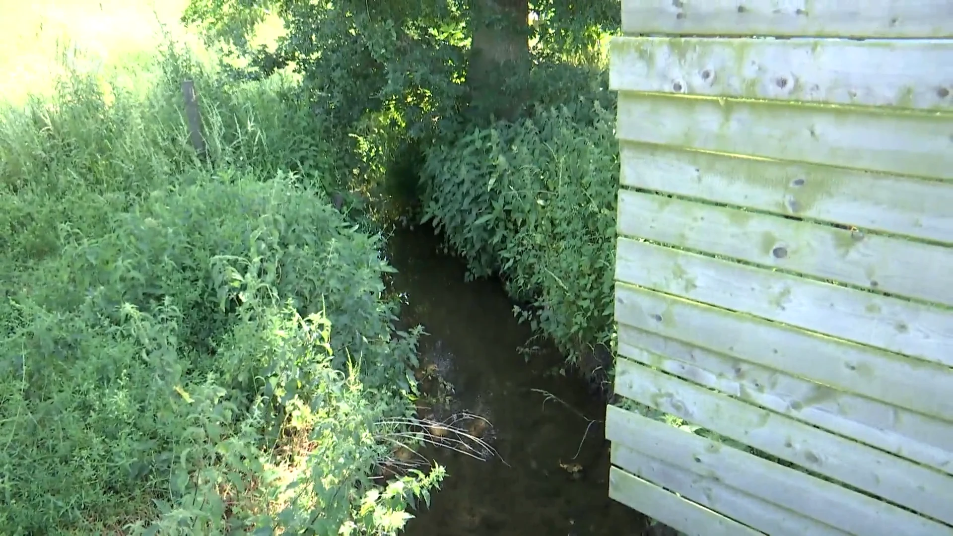 Beperkt onttrekkingsverbod van water uit beken rond Zottegem en Geraardsbergen