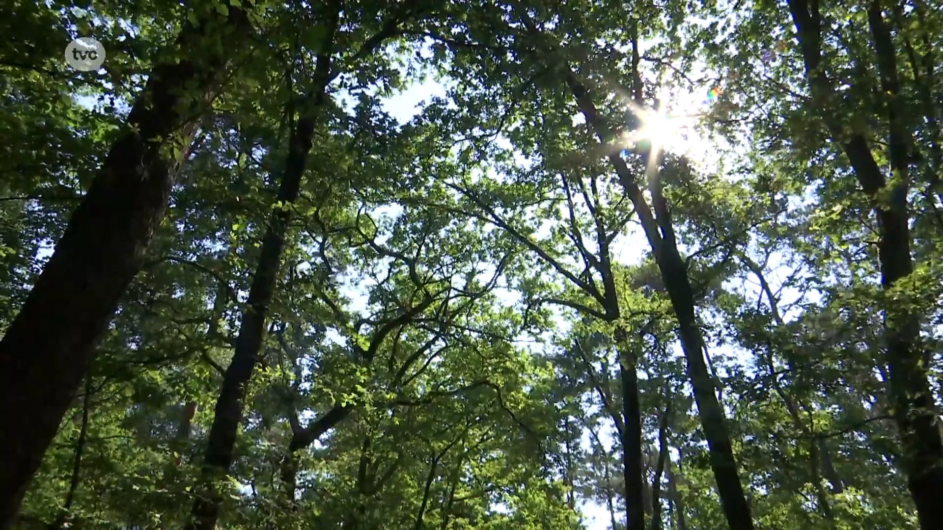 Boswachters houden extra toezicht op rookverbod in natuurgebieden