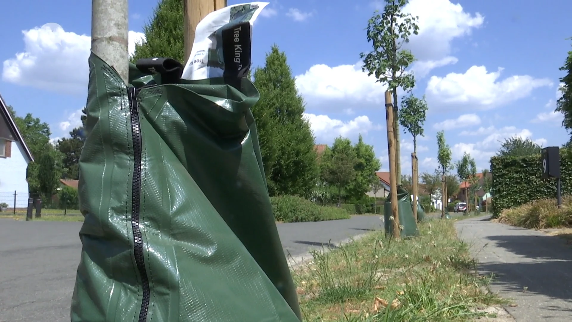 Speciale buidel redt zowat 125 jonge boompjes in Kruibeke