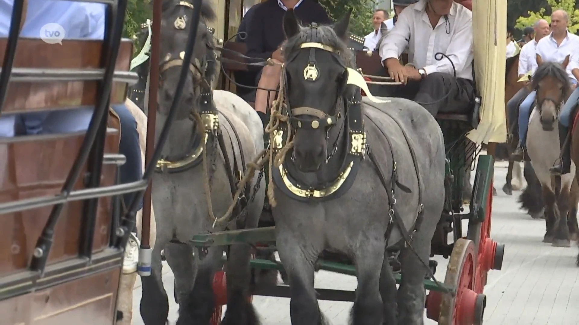 Startplaats paardenommegang van Tielrode terug in ere hersteld: confrerie koopt kapel zelf op en restaureert ze