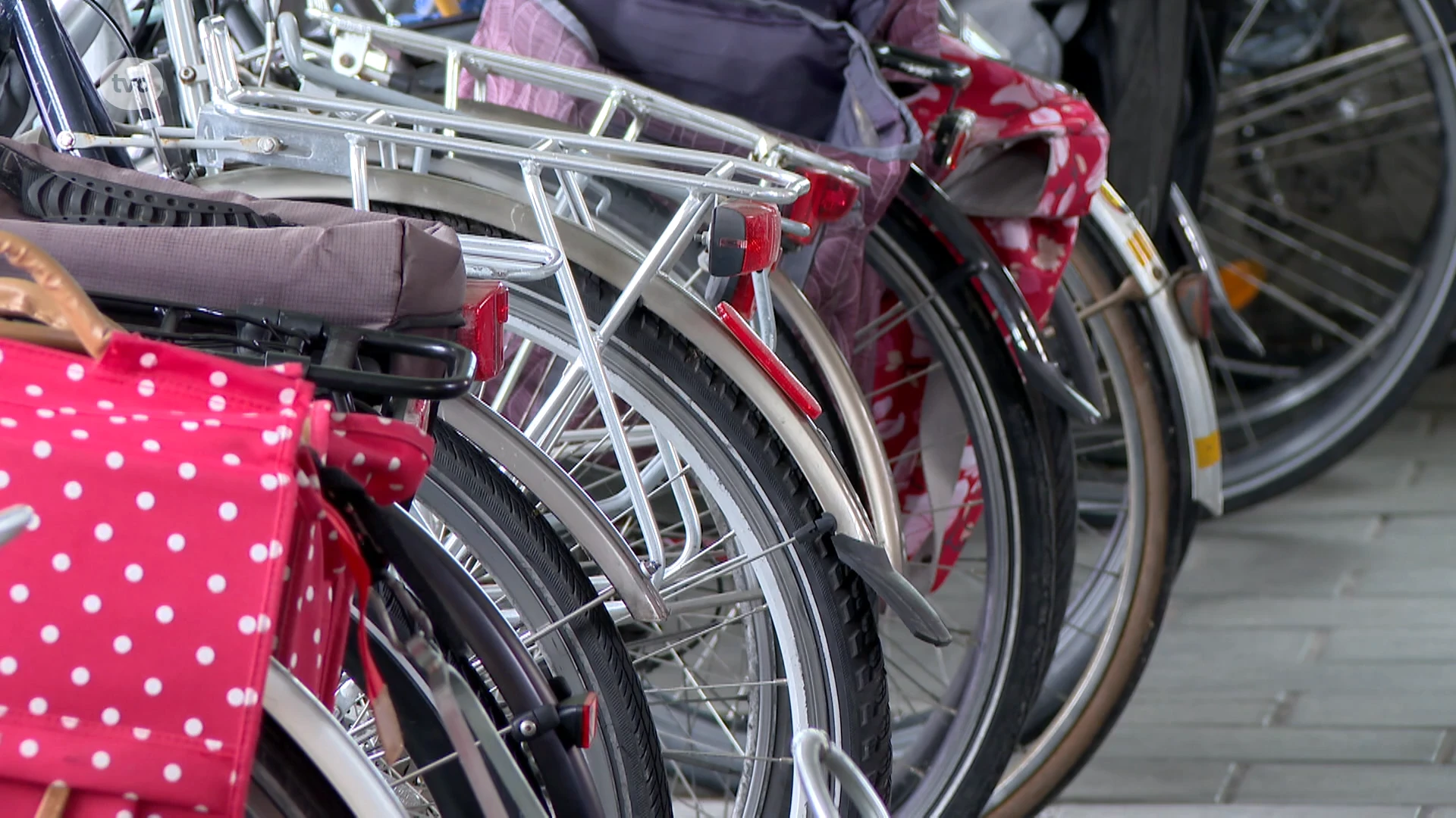 Politie Zottegem rolt internationale fietsendievenbende op