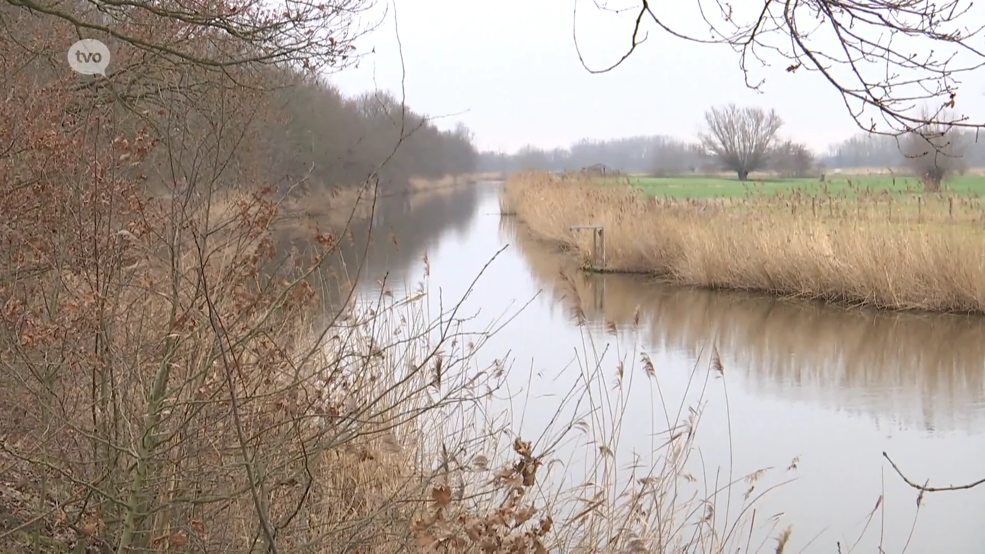 Laarne stapt niet in mogelijk nationaal park Scheldevallei